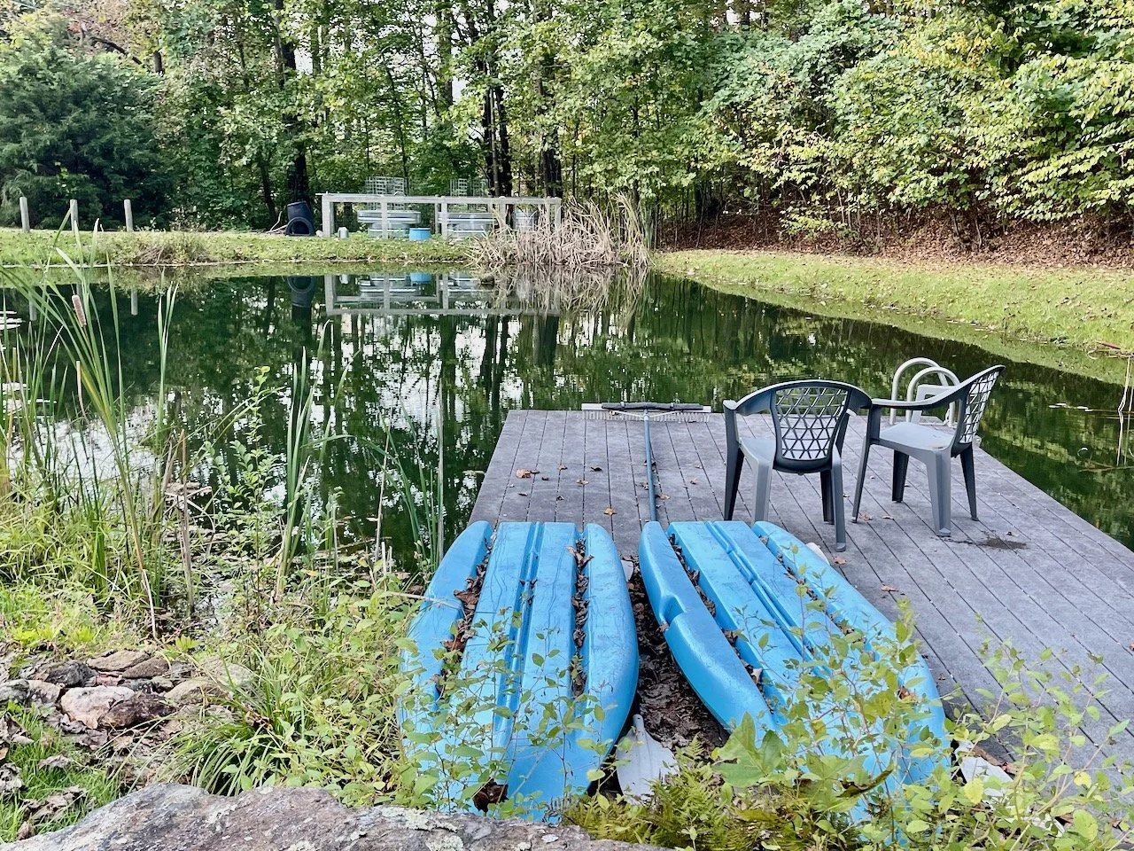 A small dock extends into a calm pond, with two blue kayaks resting upside down at the edge. Three plastic chairs are on the dock, overlooking the water, near a long pole or paddle. The pond is surrounded by lush green trees, reflections on the water