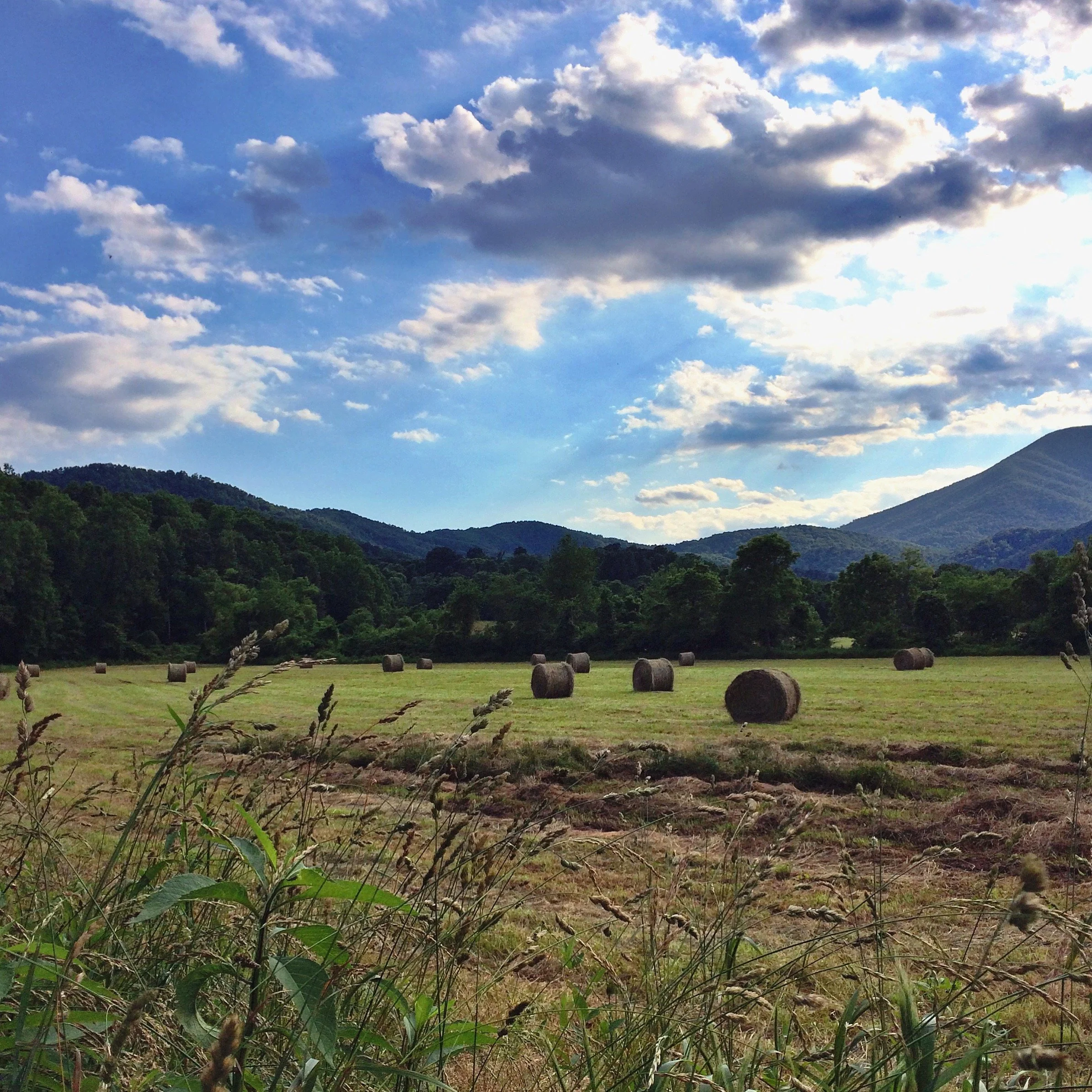 Open field with hay bales, surrounded by trees and mountains under a partly cloudy sky.