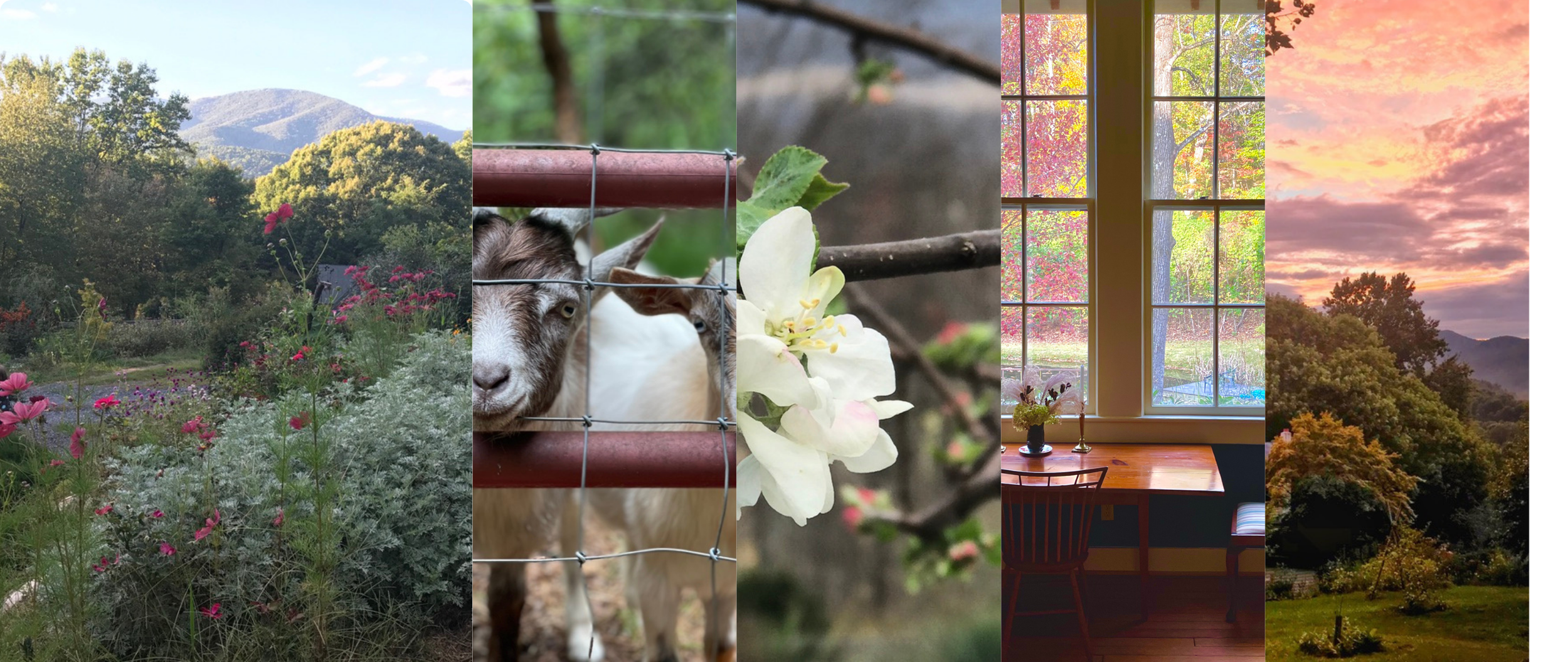 A collage of five images showing nature scenes and indoor setting: a mountainous landscape with trees and flowers, a goat and a goat kid behind a wire fence, white flowers blooming on a tree branch, a cozy dining nook with a window showing colorful fall foliage, and a view of a sunset over hills and trees.