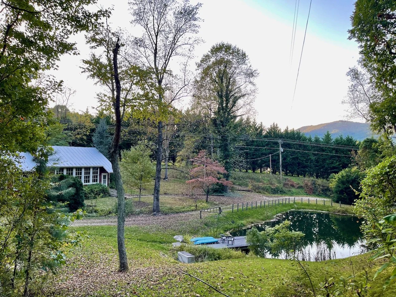 A peaceful backyard with a pond, surrounded by trees and a small house with a metal roof.