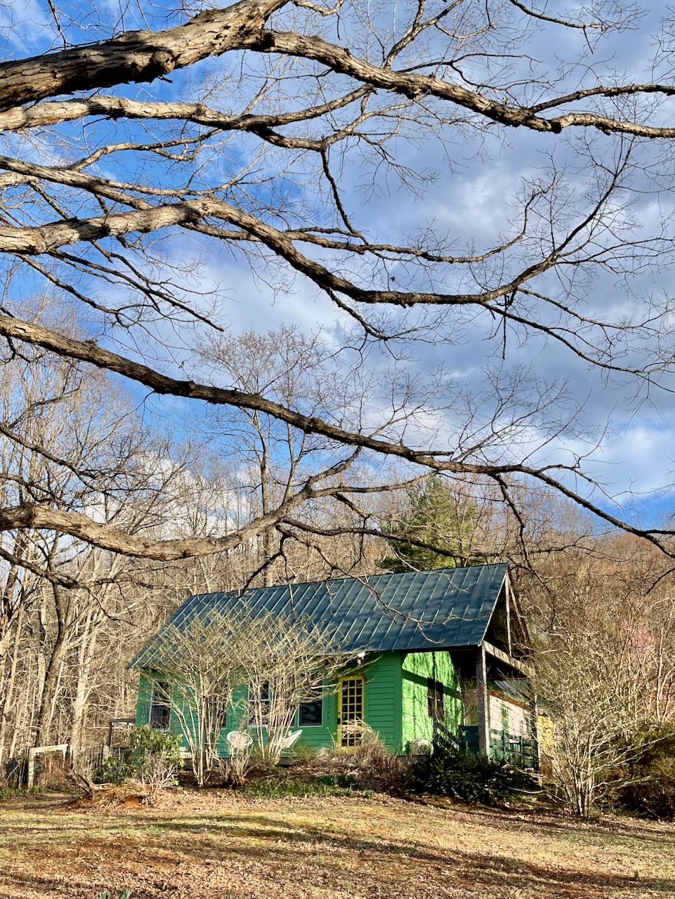 A small, green house with a metal roof surrounded by trees and shrubs, with a partly cloudy sky overhead.