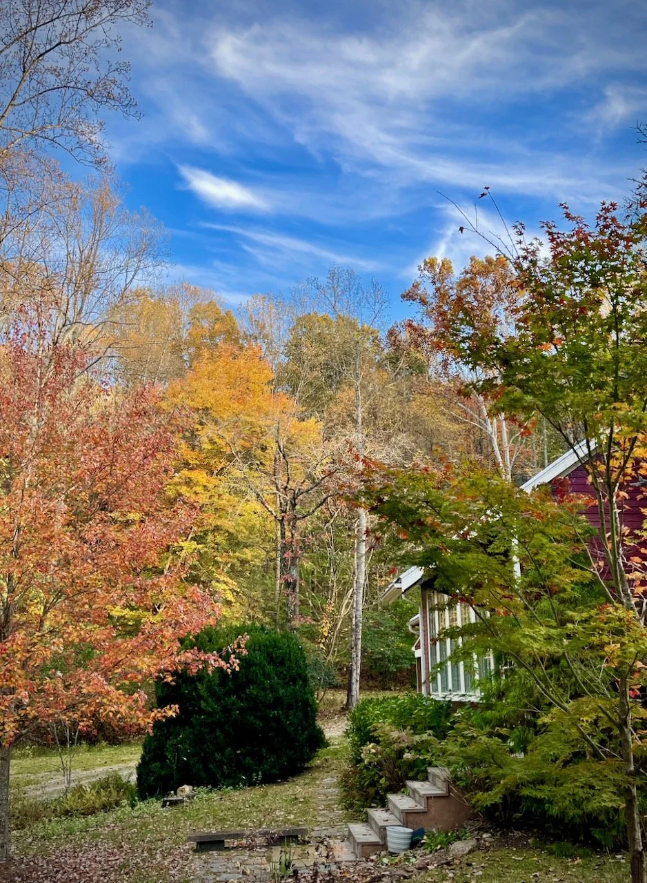 A peaceful autumn scene featuring a house partially visible on the right, surrounded by colorful trees with leaves in shades of green, yellow, orange, and red. A set of small steps leads up to the house, with a flower pot nearby. The sky above is bright blue with wispy white clouds.