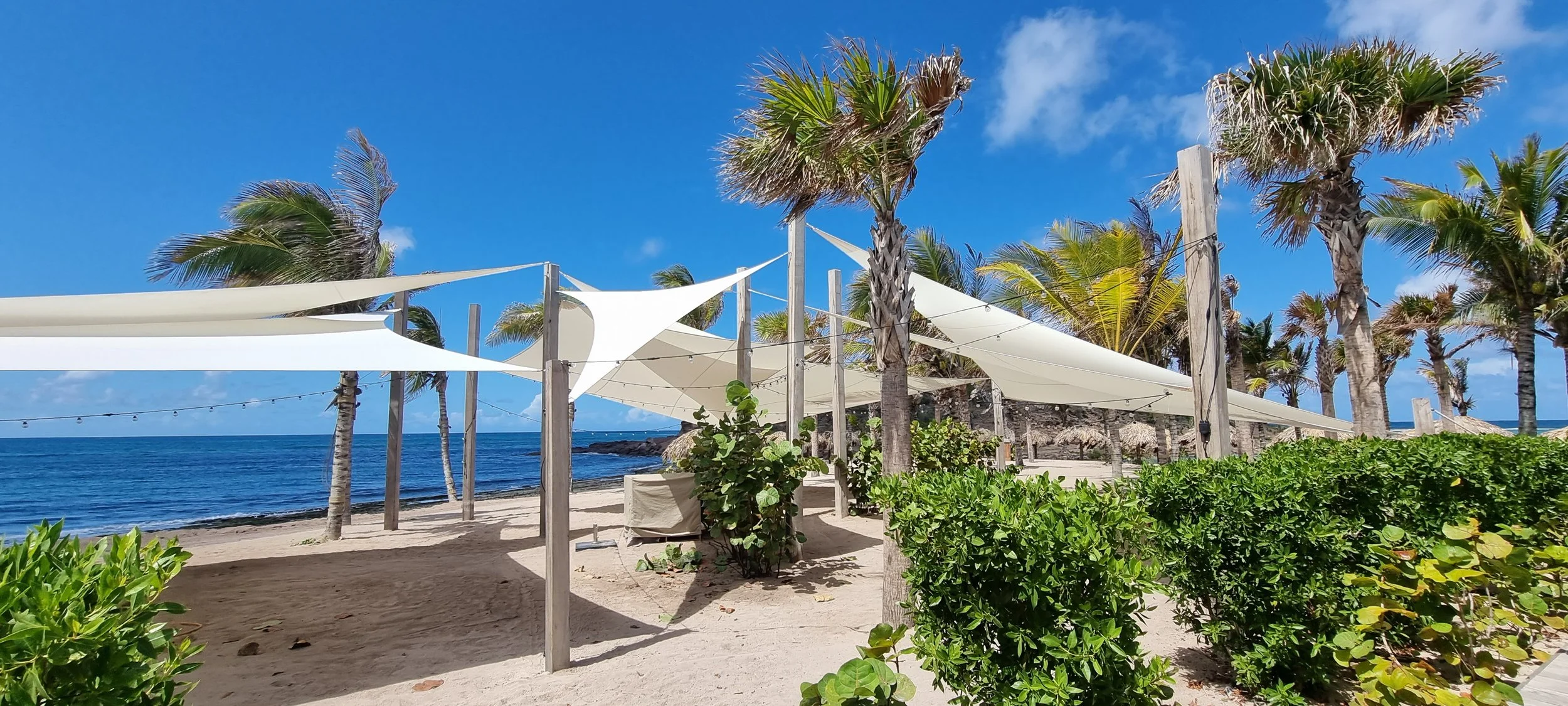 Beachside scene with palm trees, blue sky, ocean, and white fabric shade canopies.