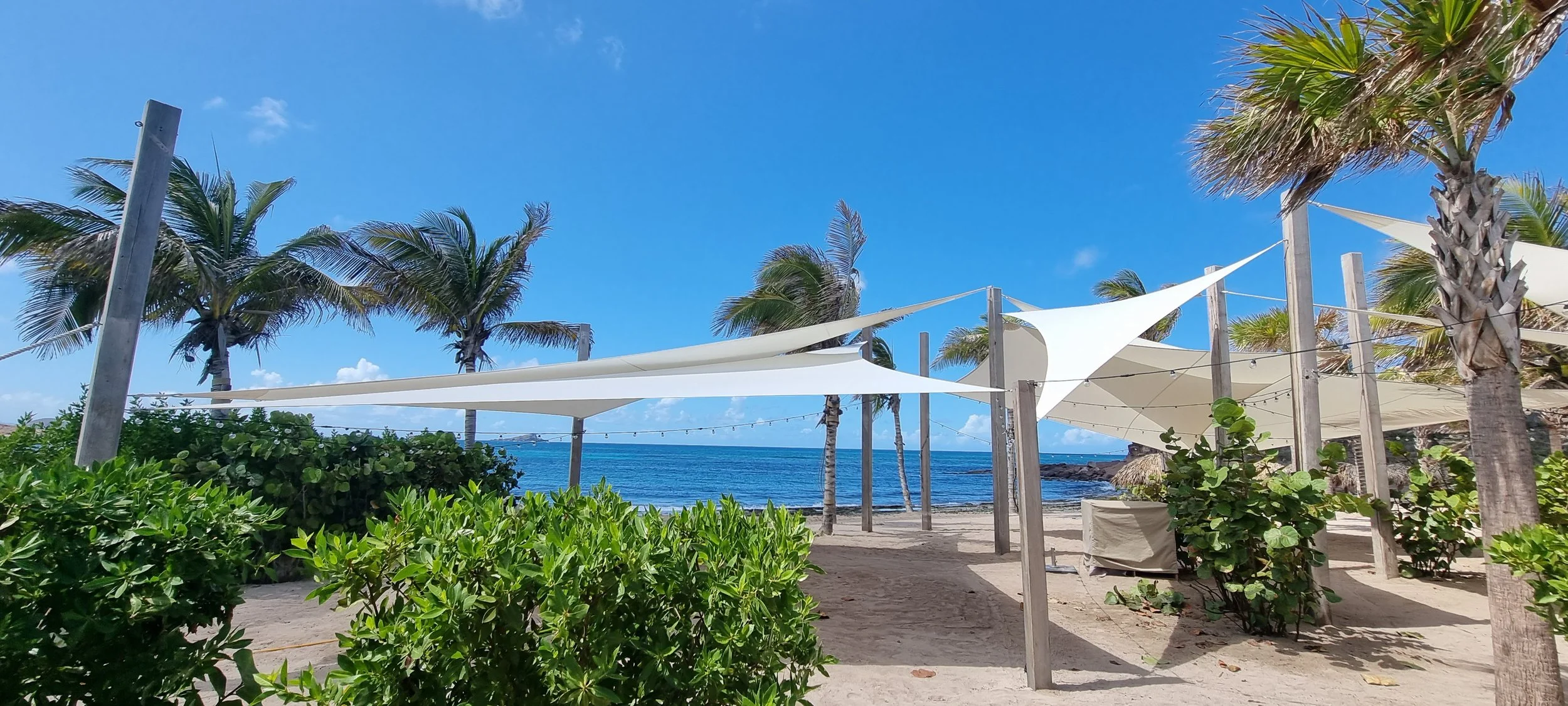 Beachside with palm trees, greenery, white shade sails, sandy ground, and the ocean in the background under a clear blue sky.