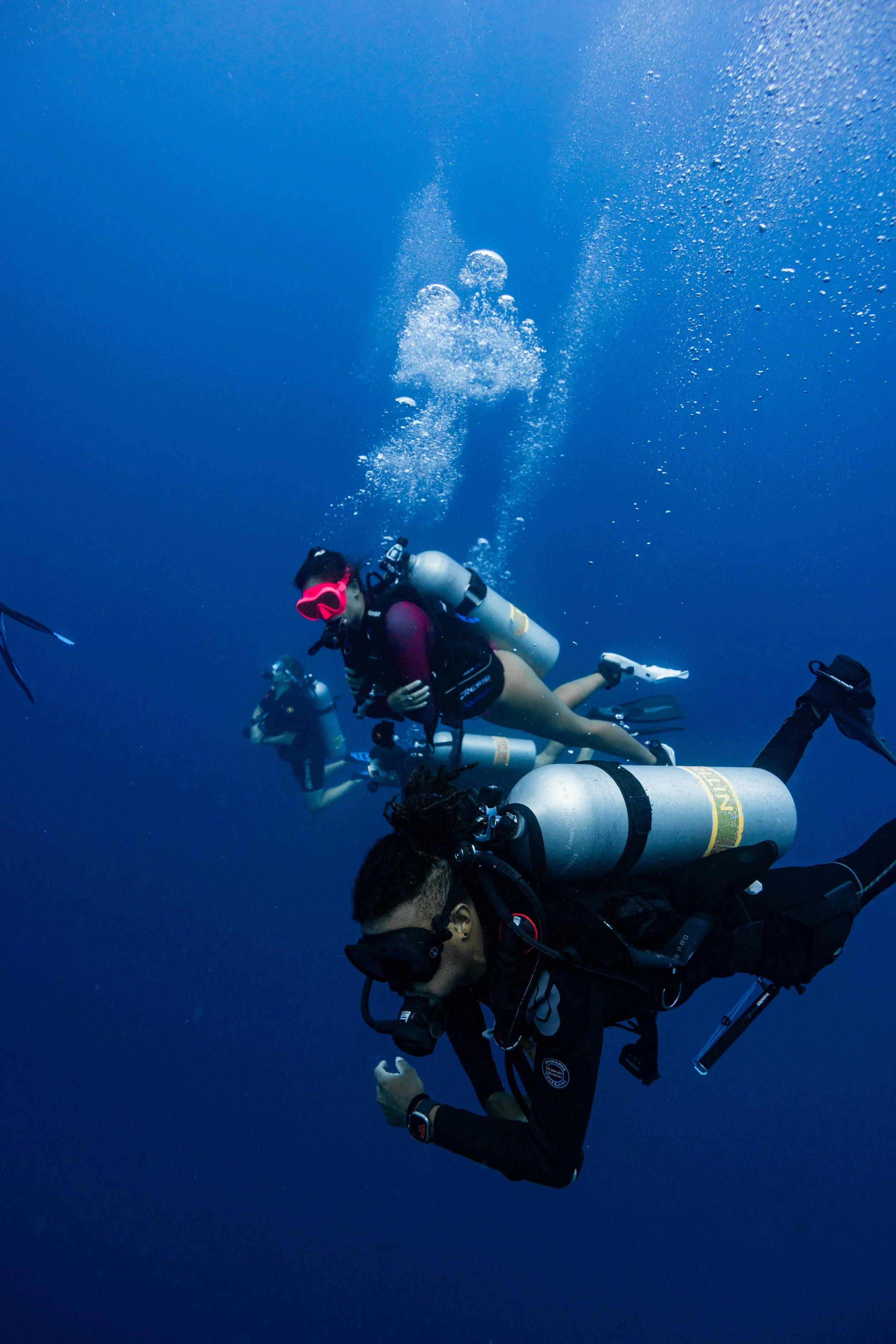 Discover Scuba Diving