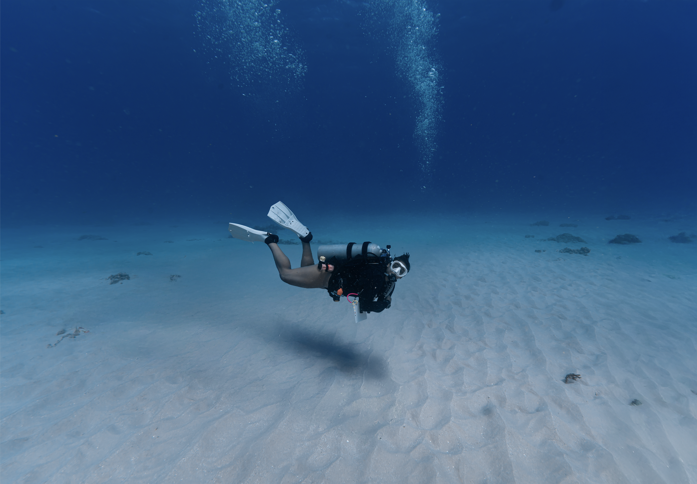 Screenshot 2024-12-12 at 4.55.11 PM.png