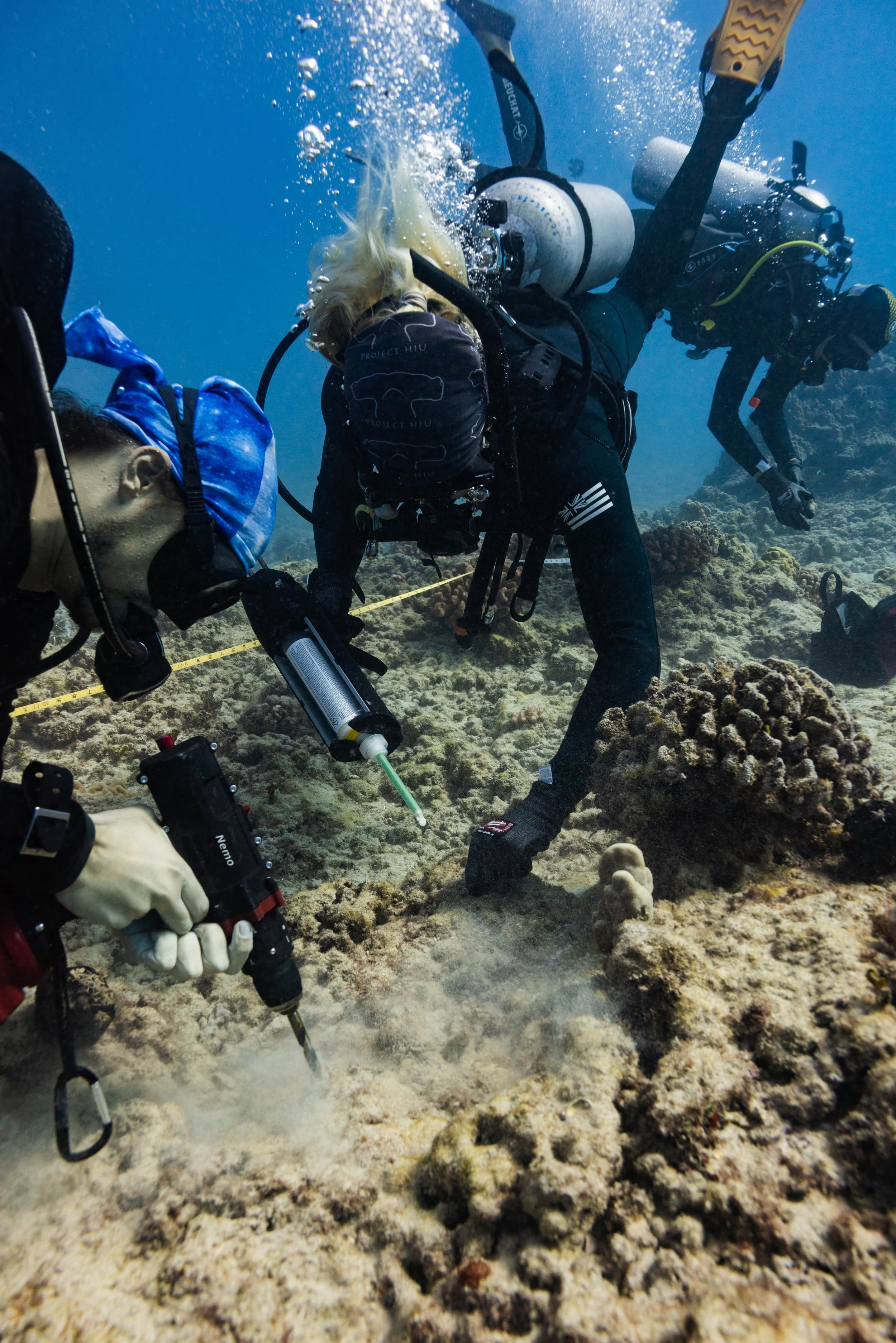 Restore With Resilience