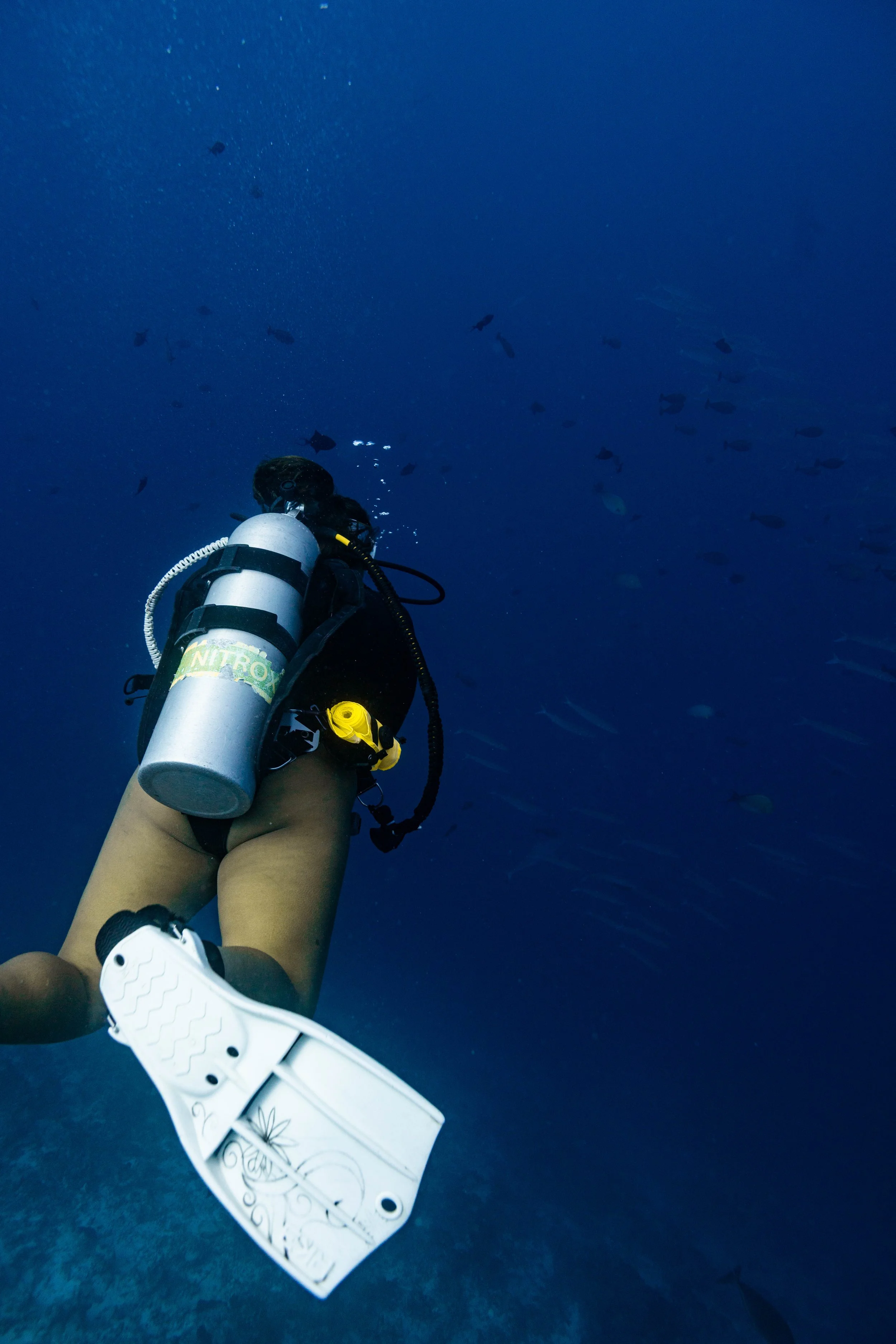 Referral Open Water Certification