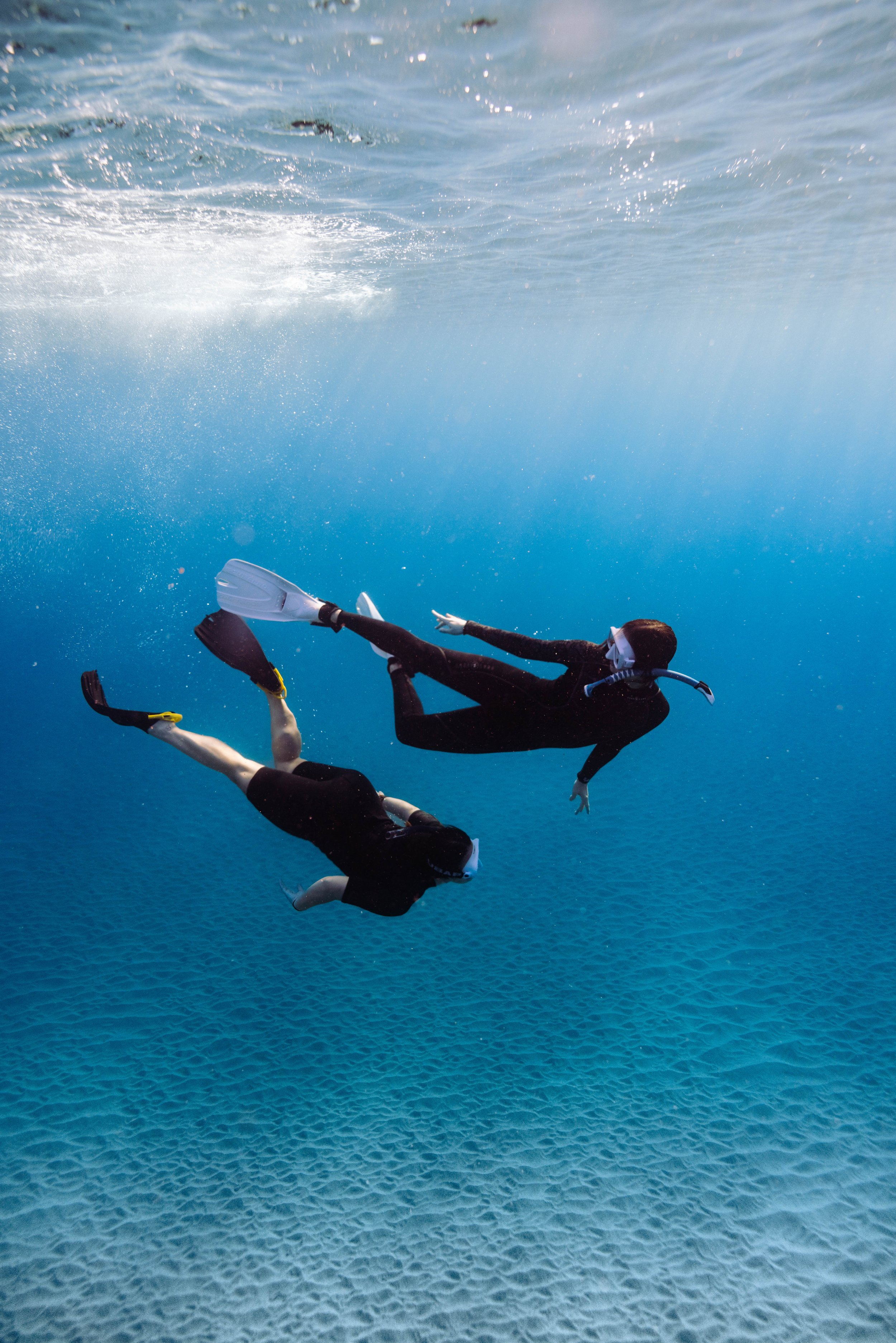 Future Ocean Stewards