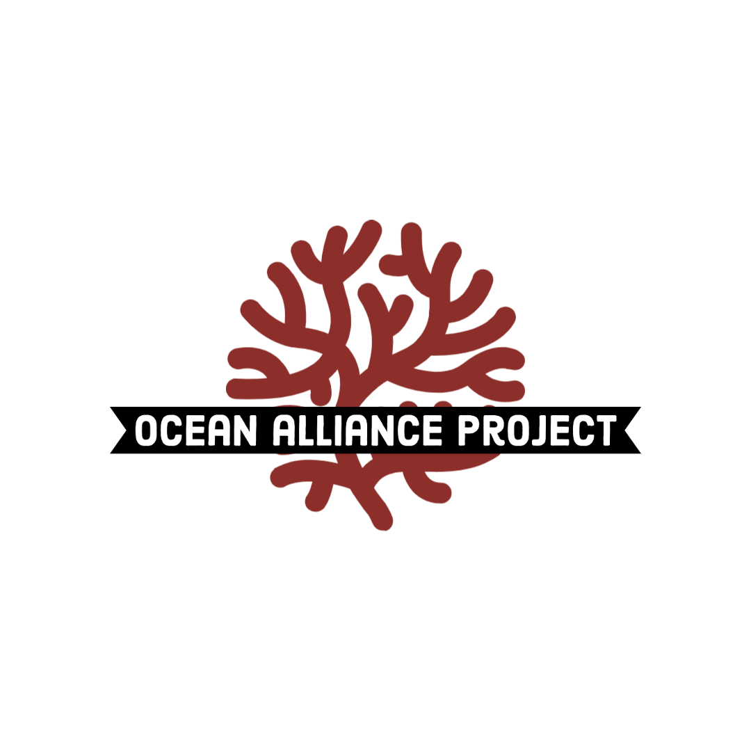 Ocean Alliance Project