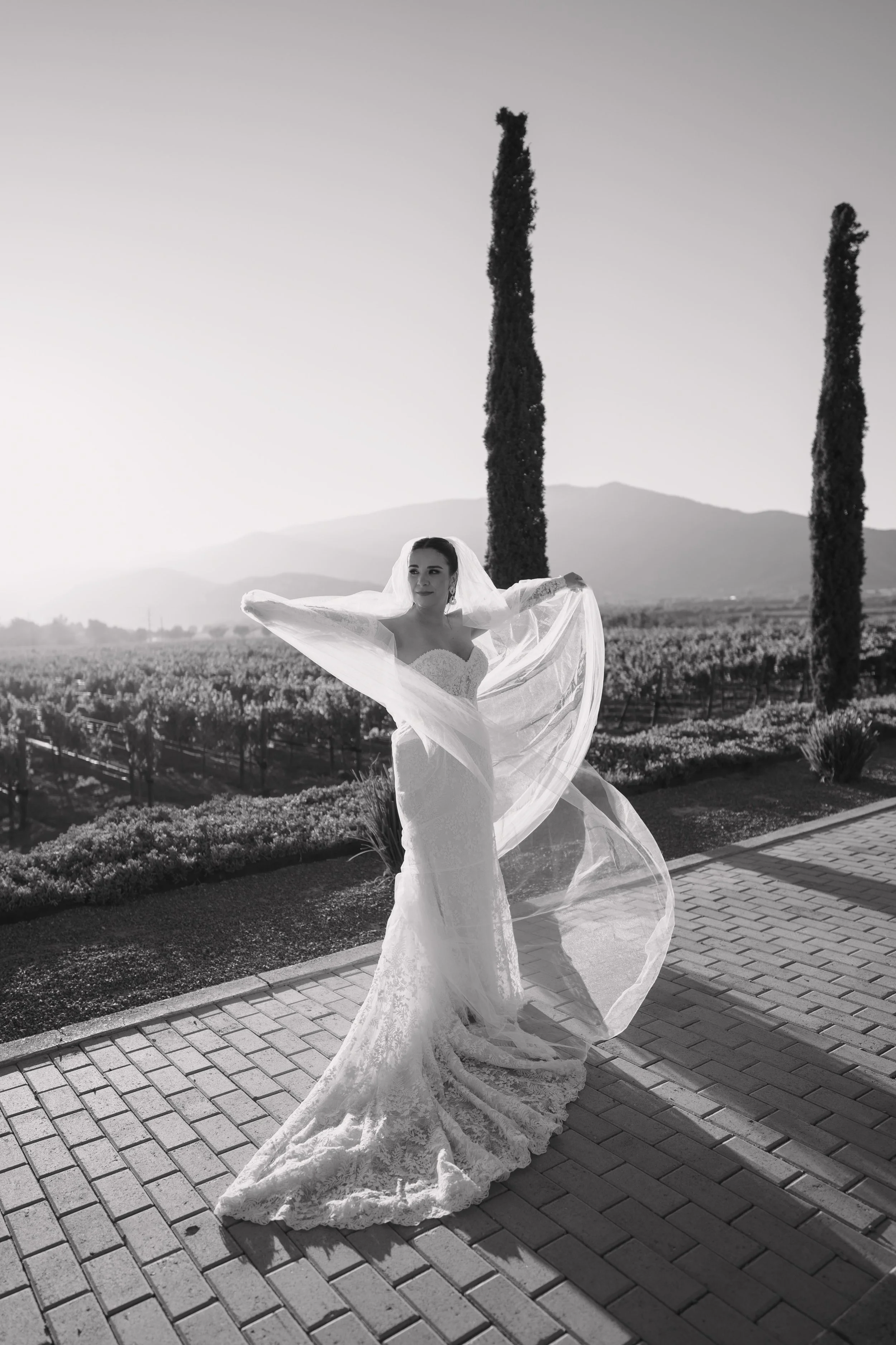 Mujer en vestido de novia con velo, en un campo de viñedos, rodeada de árboles altos, en un paisaje montañoso al fondo, en blanco y negro.