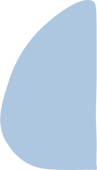 Light blue irregular shape with a black curved line on top.