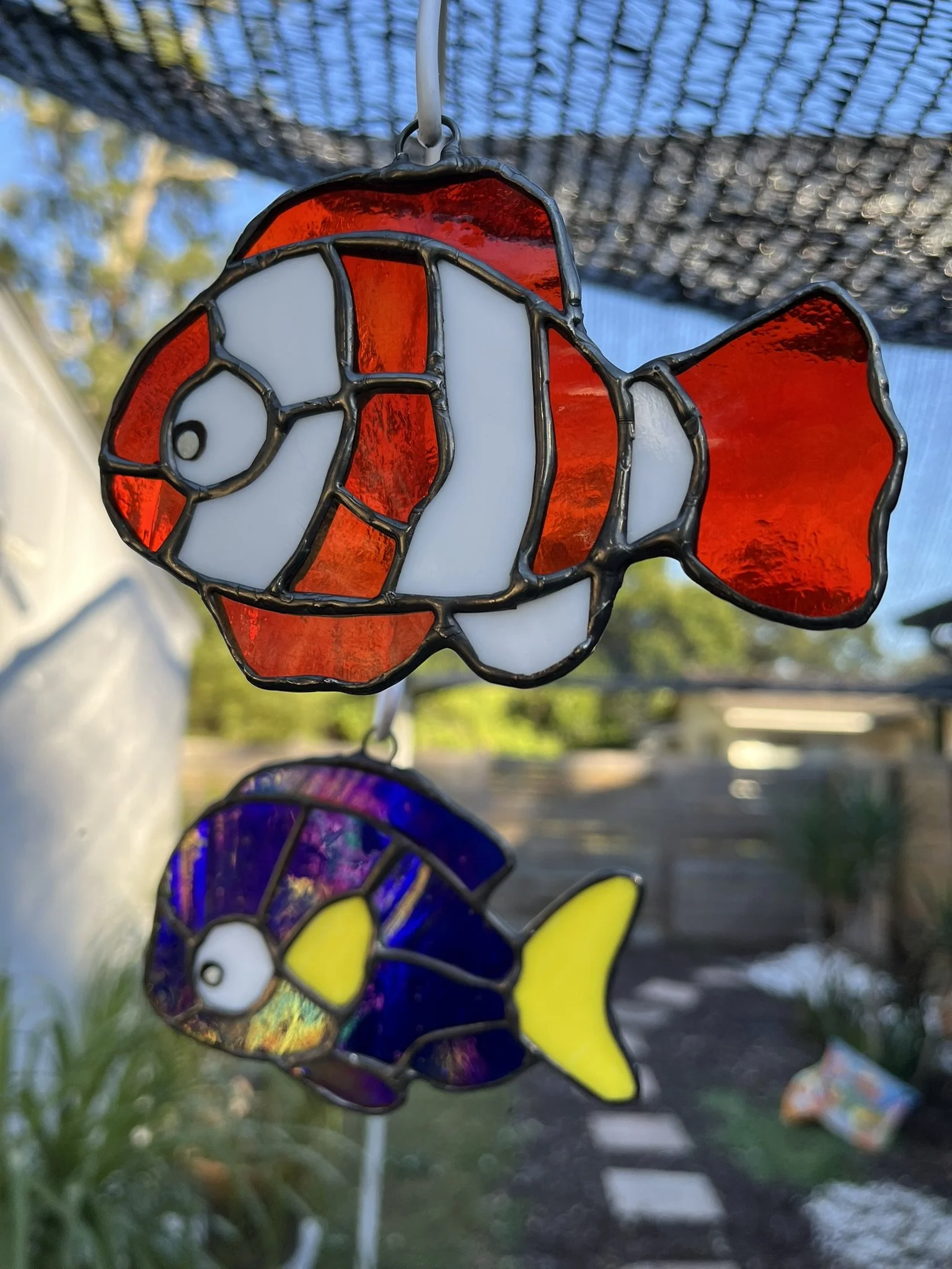 Colored stained glass sun catchers of a Clown Fish and Blue Fin Tuna Fish hanging outdoors with a blurred garden background.
