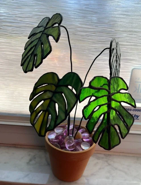 Monstera.jpg