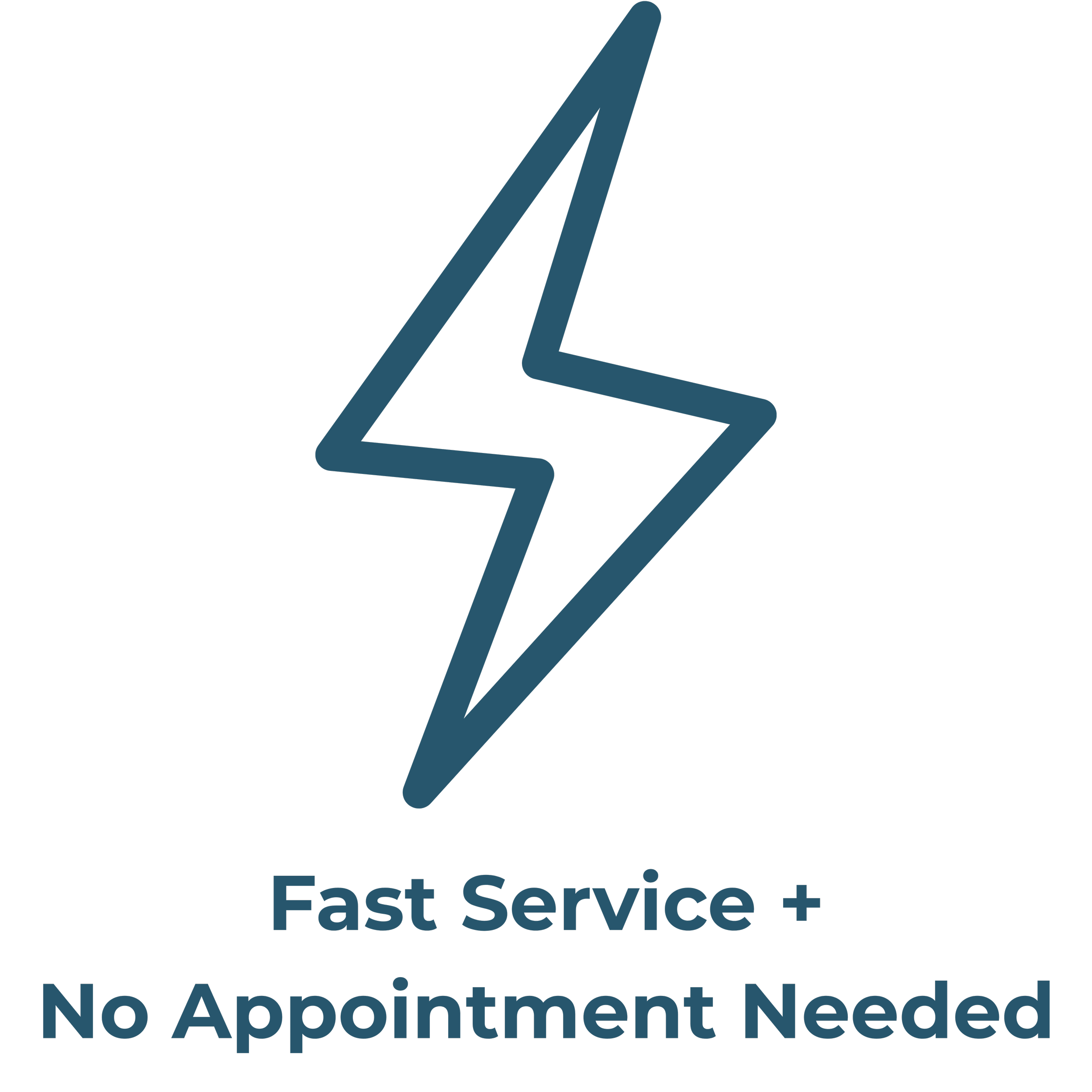 Lightning bolt icon with text stating 'Fast Service + No Appointment Needed'.