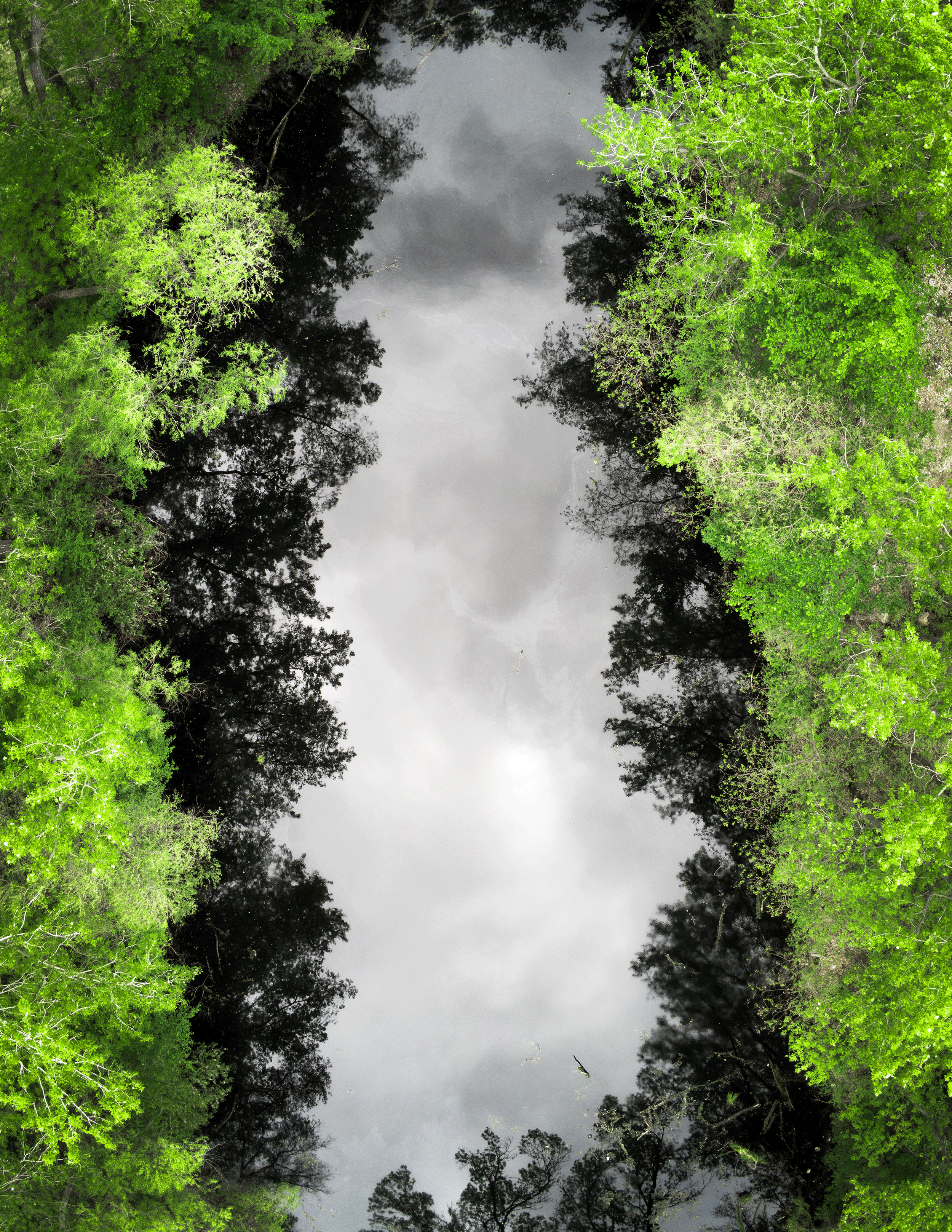 Clouds in the Pond