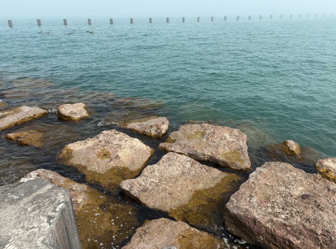 Screenshot 2026-03-20 at 2.08.28 PM.png