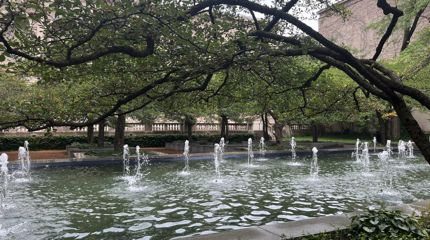 Screenshot 2026-03-20 at 2.08.57 PM.png