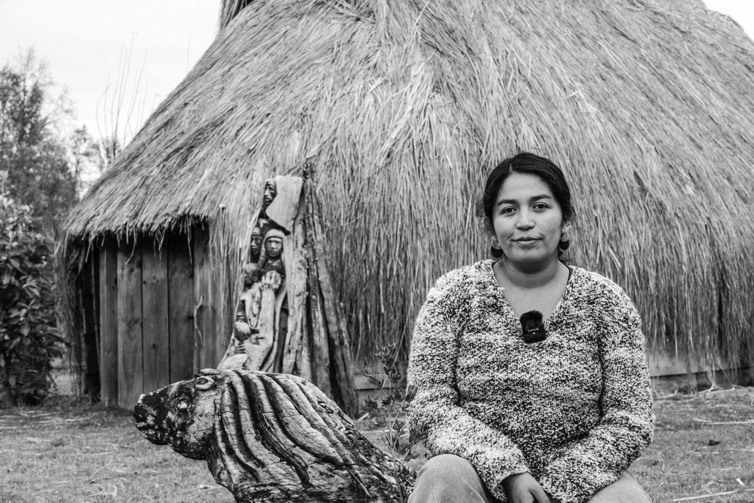 Mapuche, le peuple de la terre