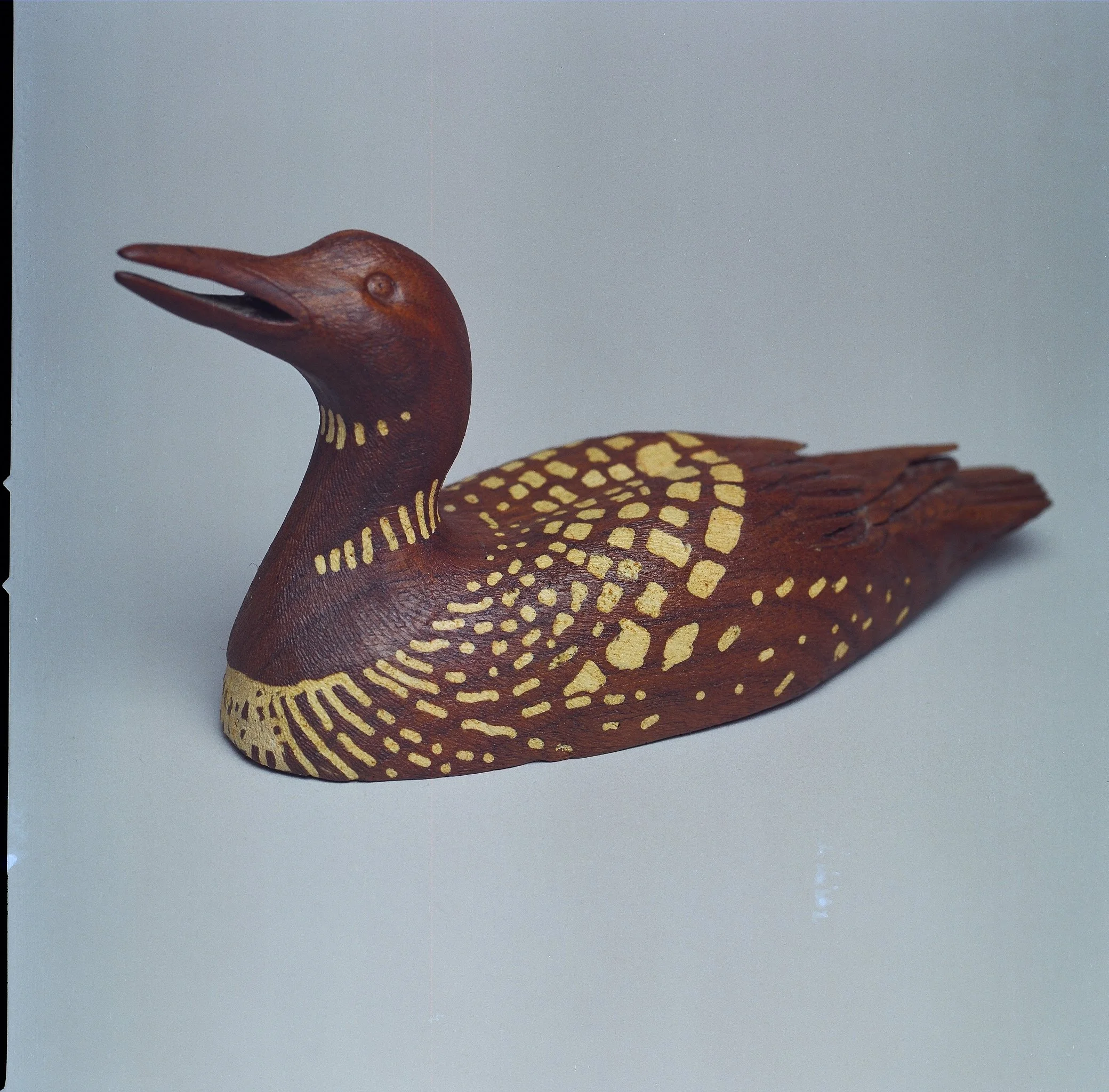 Walnut Loon