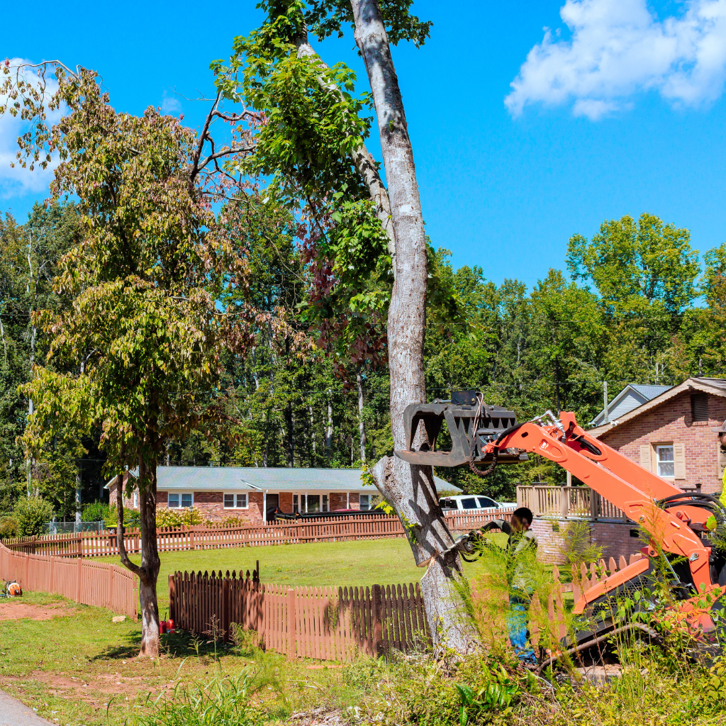 Tree removal machine cutting down a tree in a backyard with houses, a fence, and trees under a blue sky.