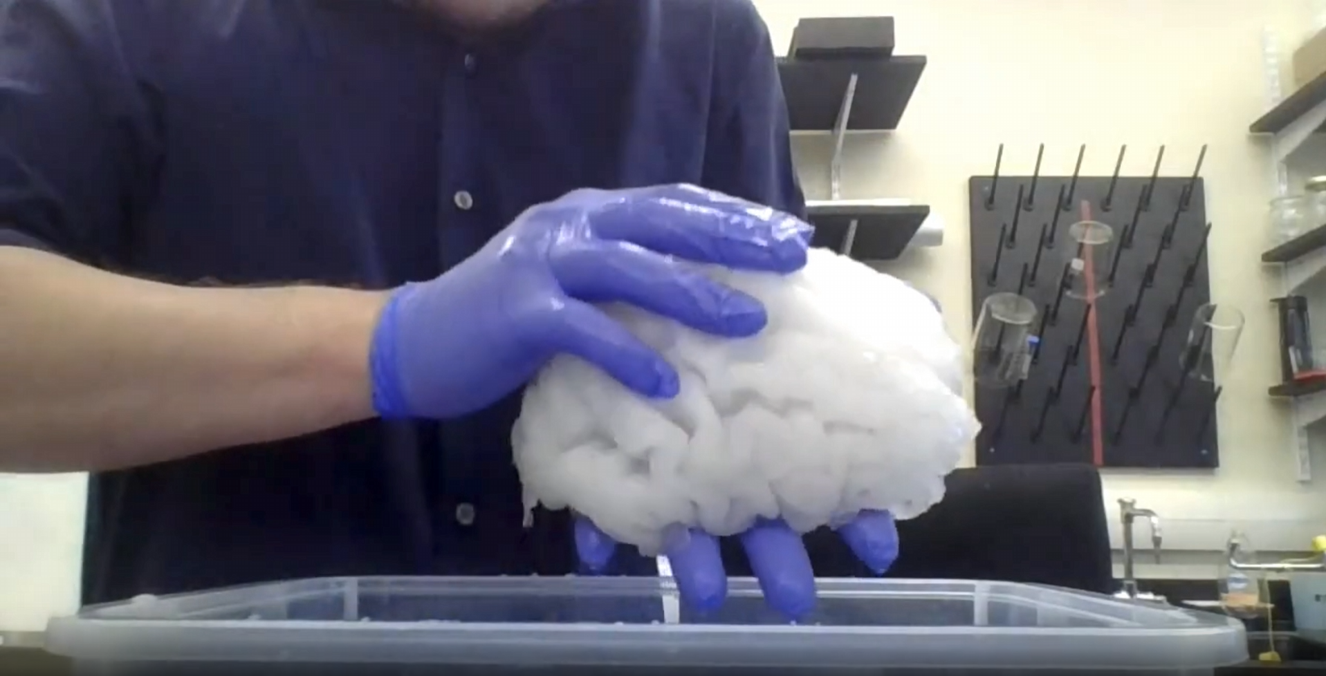 Where Are They Now: RAM Phantoms Builds Better Brains for Science and Safety