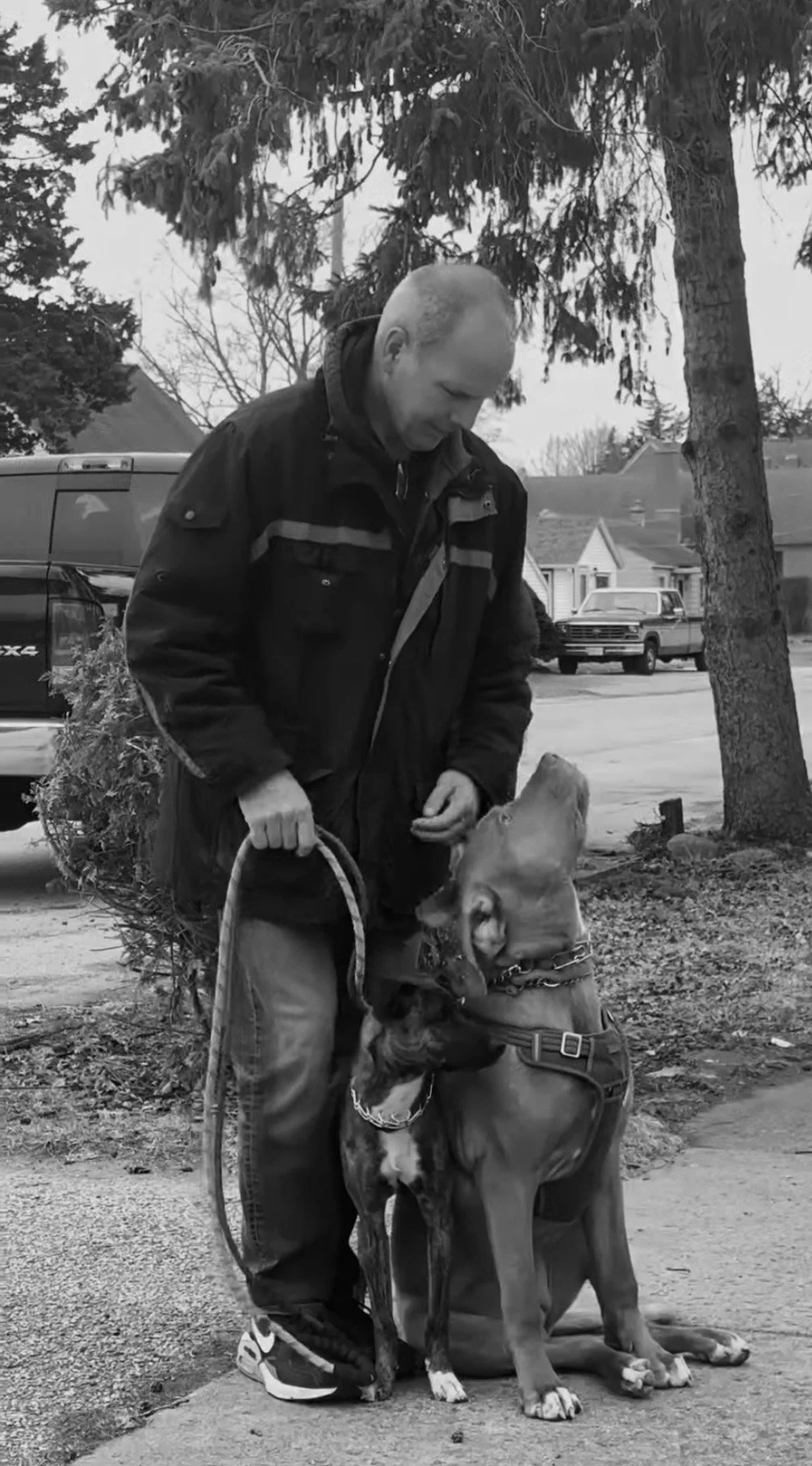 A man in a black jacket is standing outdoors on a sidewalk, holding a branch or plant, with a dog sitting close to him and looking up at him. There are trees, parked cars, and houses in the background.