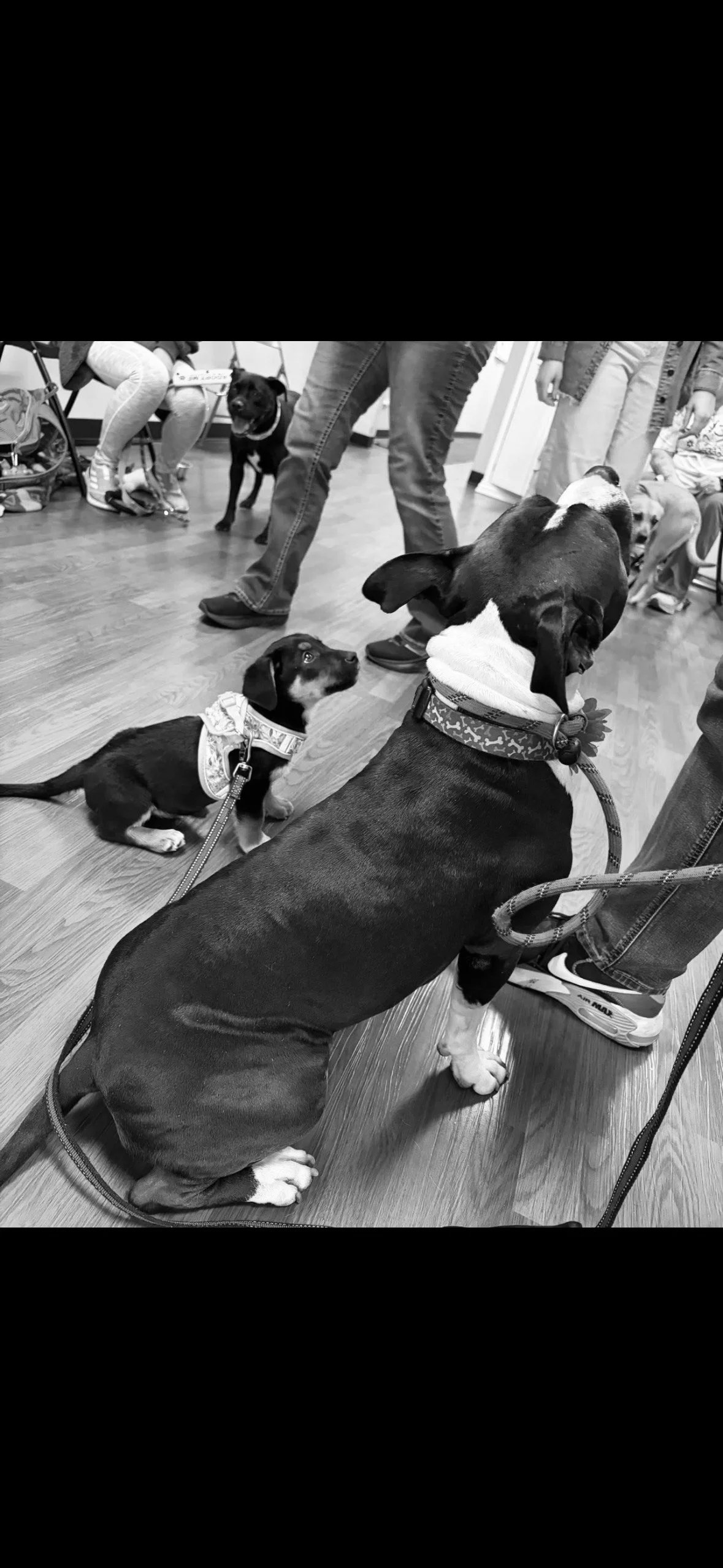 Real‑Life Skills Class