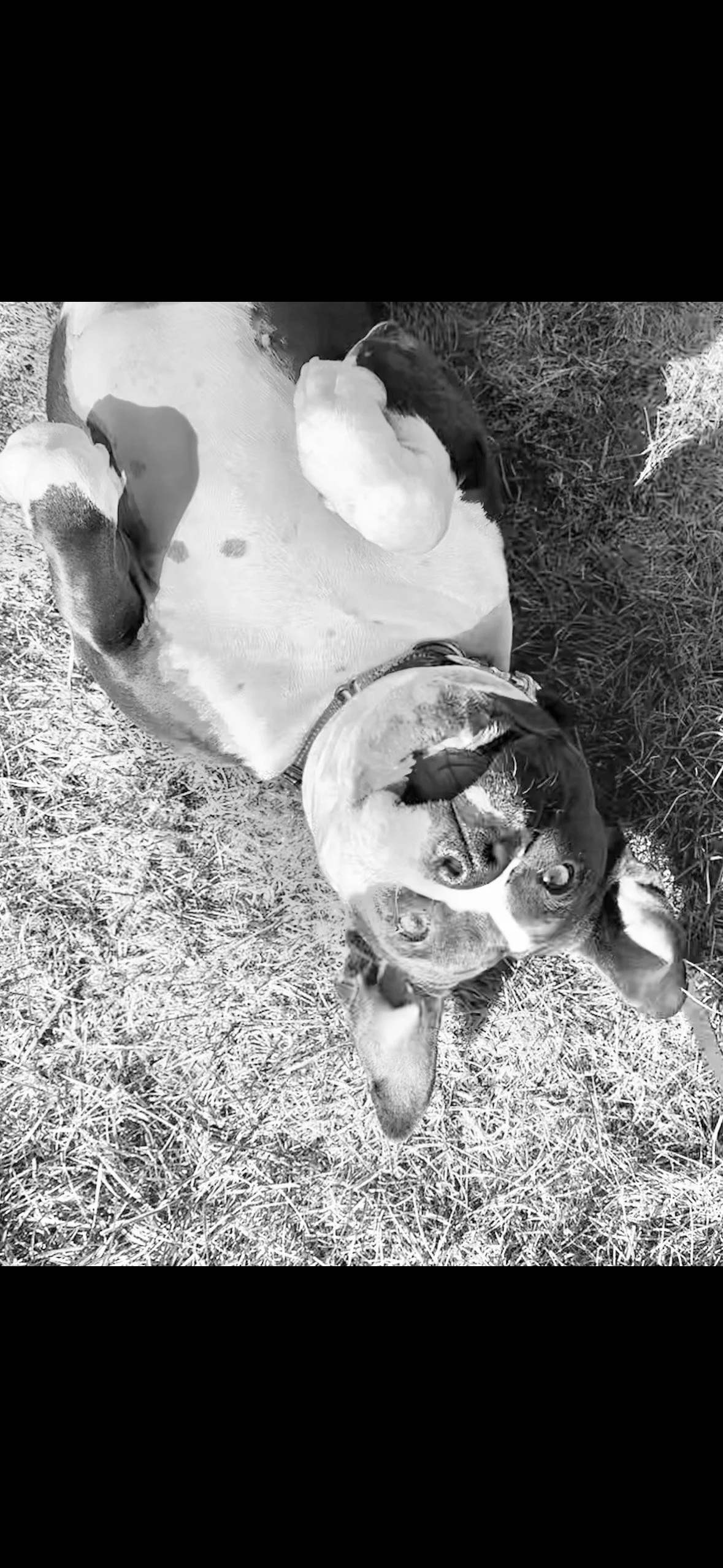 Behavior‑Specific Packages