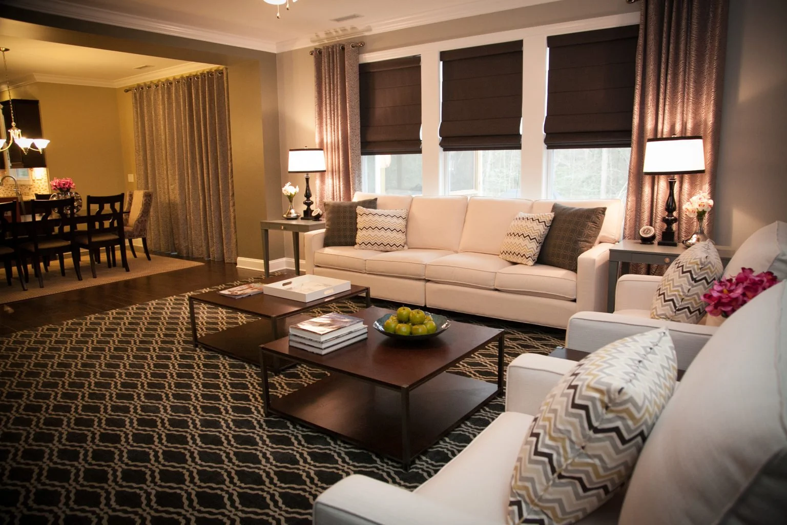 Living-Room-Project-8d-1536x1024 (1).jpeg