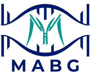 MABG Consulting Group