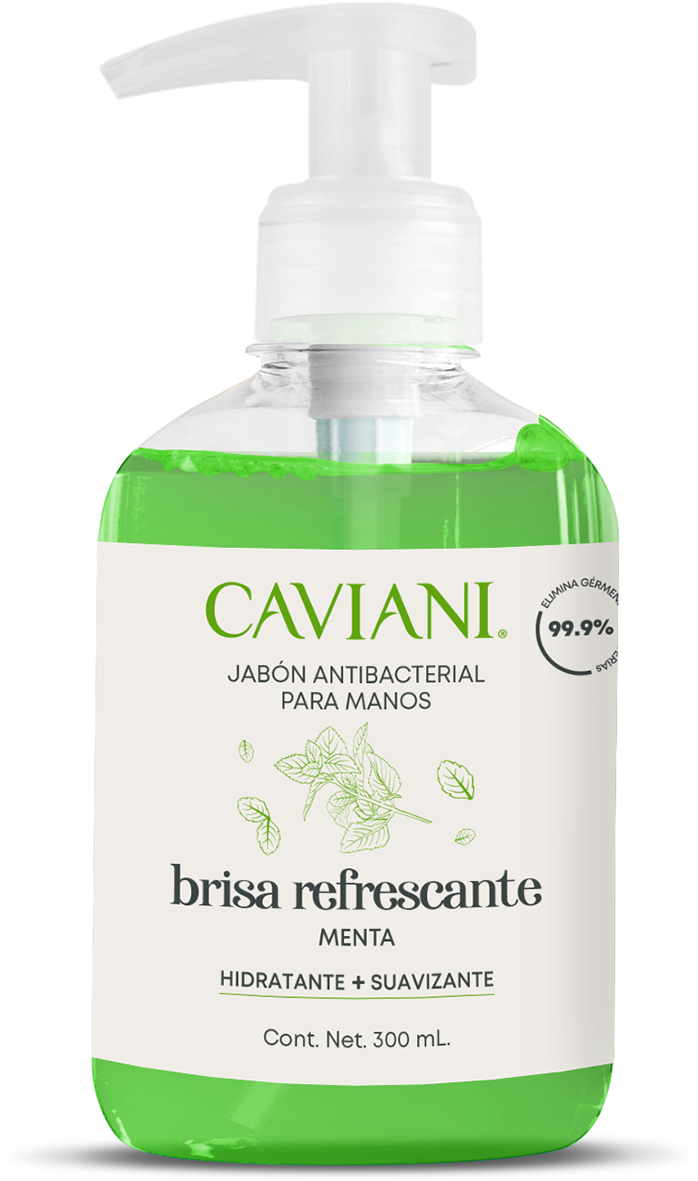 JABÓN ANTIBACTERIAL PARA MANOS MENTA 300 ML