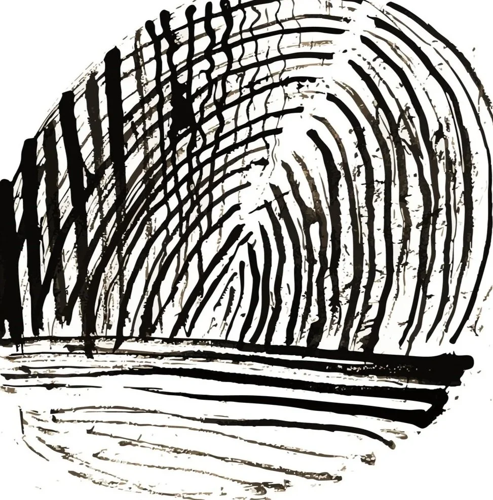 Black fingerprint on white background.