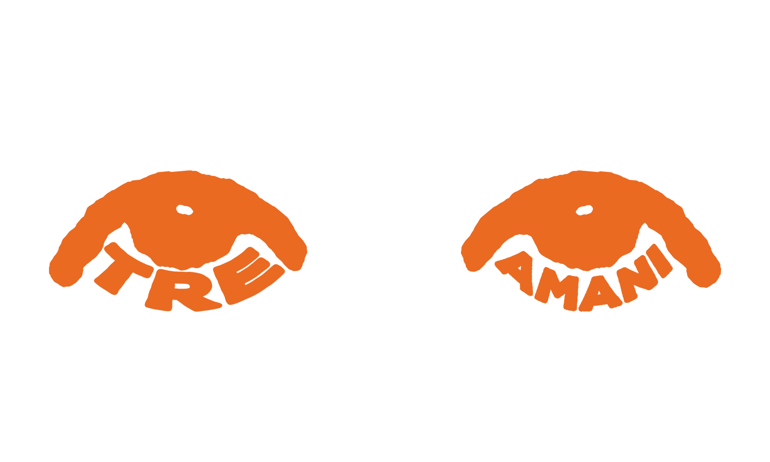 treamanilogoORANGE.png