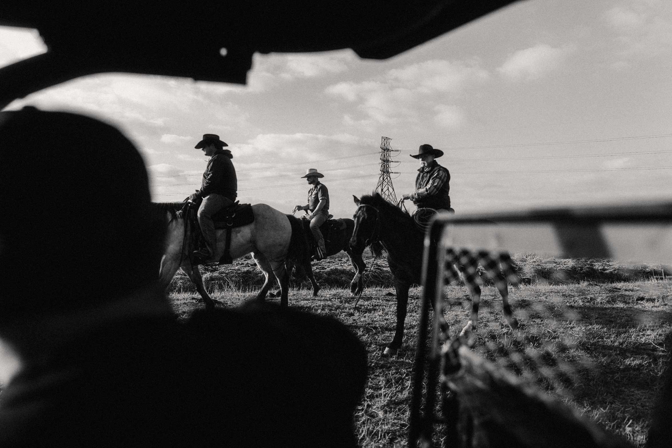 cowboys on horseback gathered near a fence black and white
