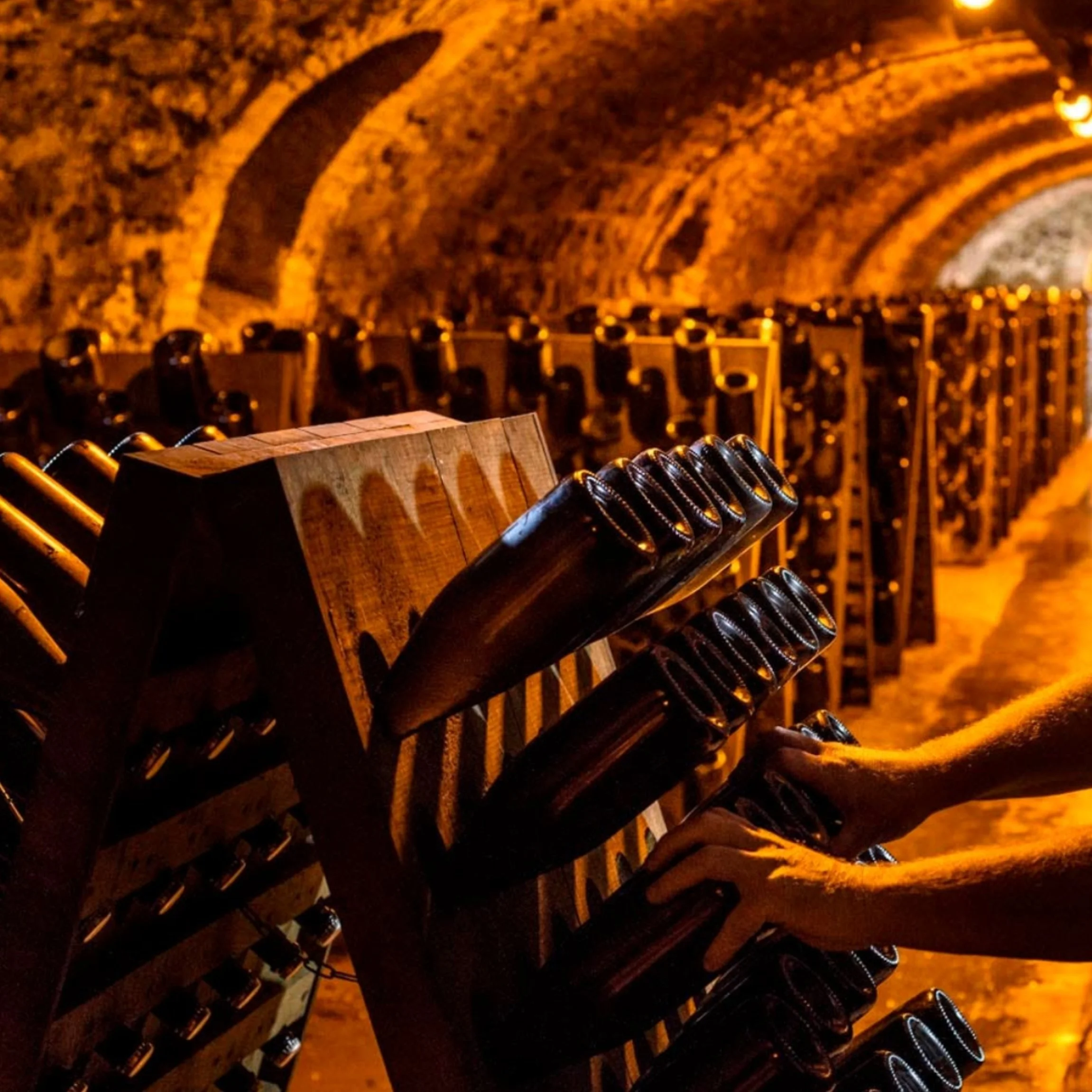 champagne (20260313025607).jpg