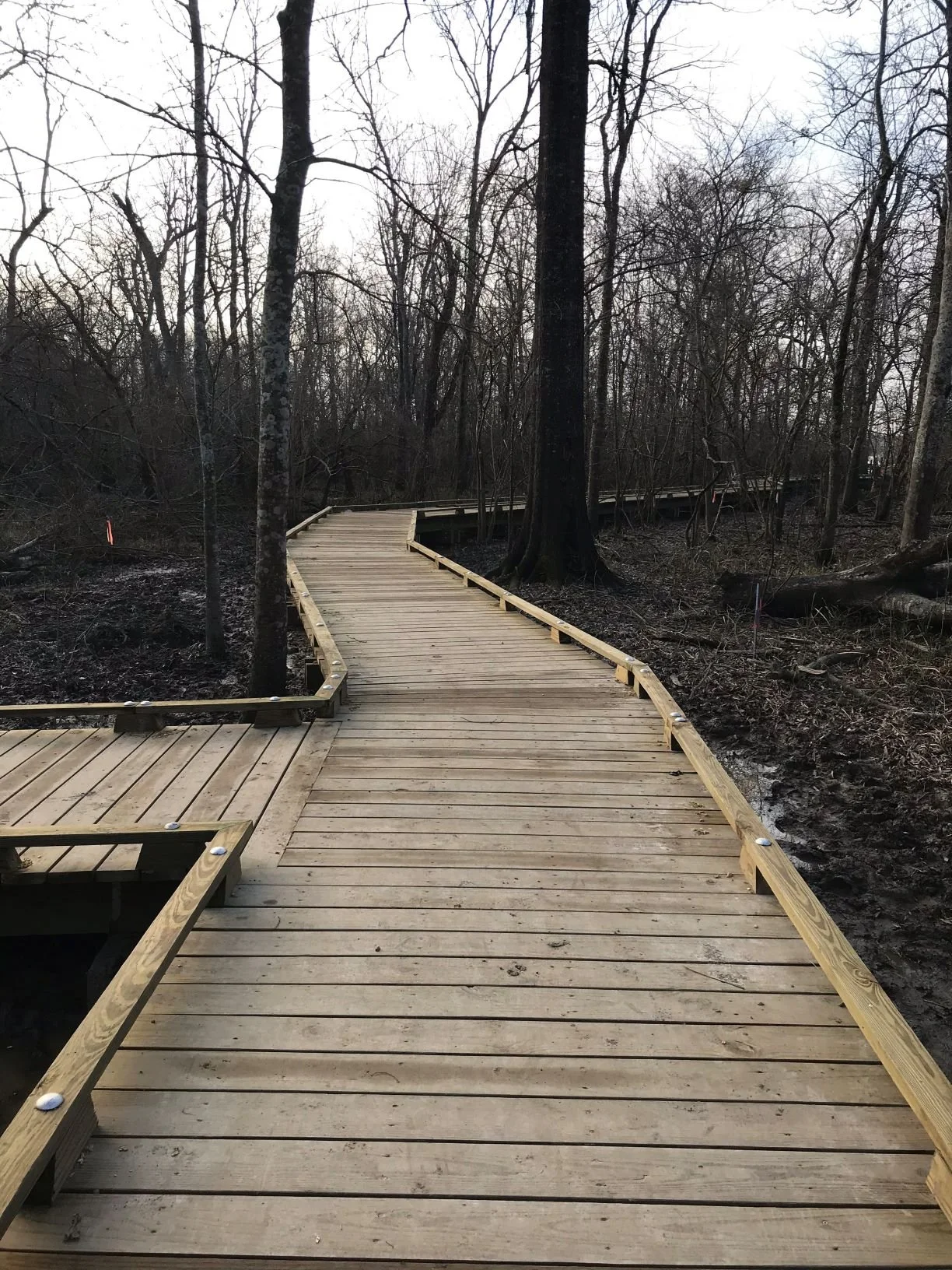 Sch B Boardwalk.jpg