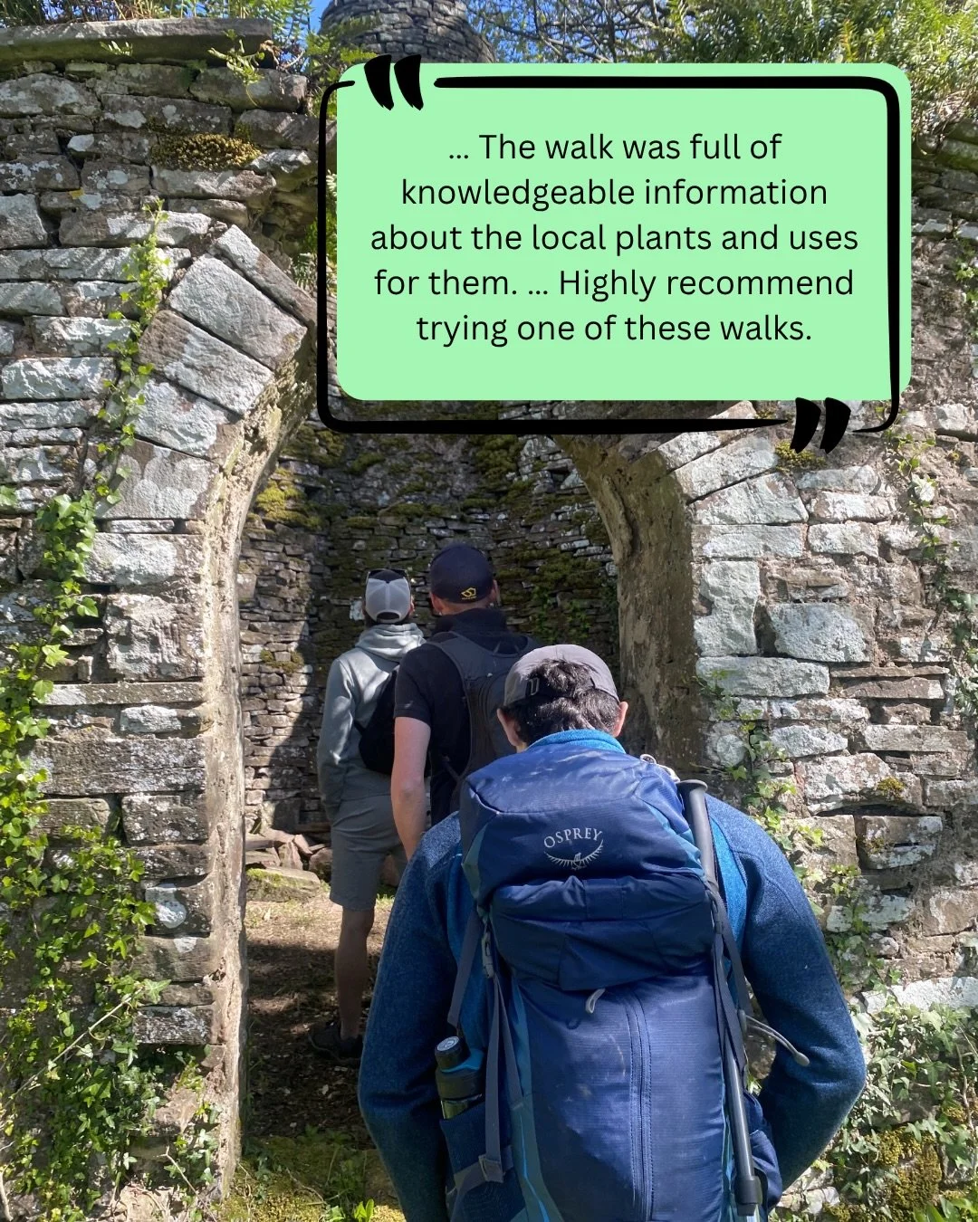 I keep these walks small and relaxed, so there&rsquo;s plenty of time to ask questions and really take it in. 🌿

A few spaces left for Saturday&mdash;message me to join.

#OutdoorAdventure #NatureExperience #BreconBeacons #ForagingUK #WildFood