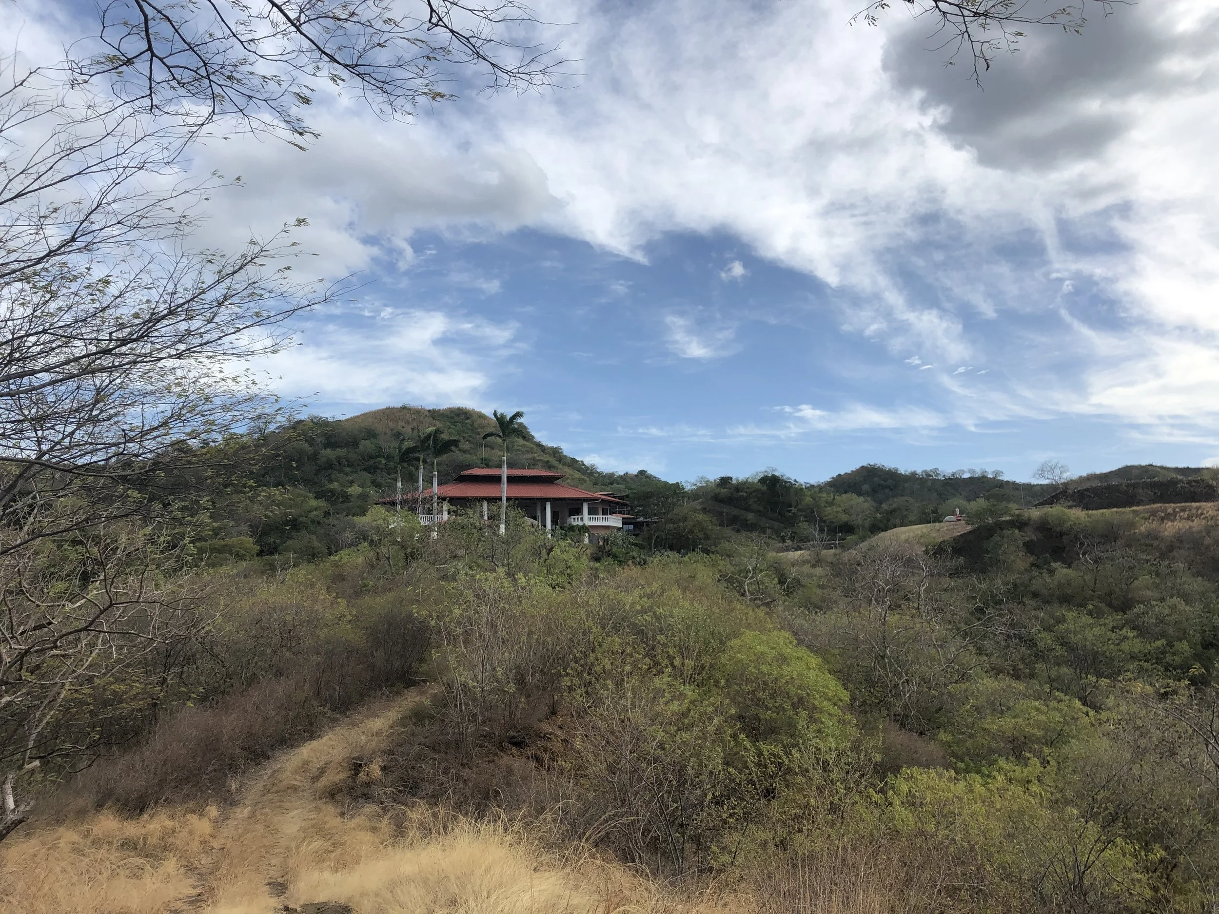 IMG_2440.jpeg