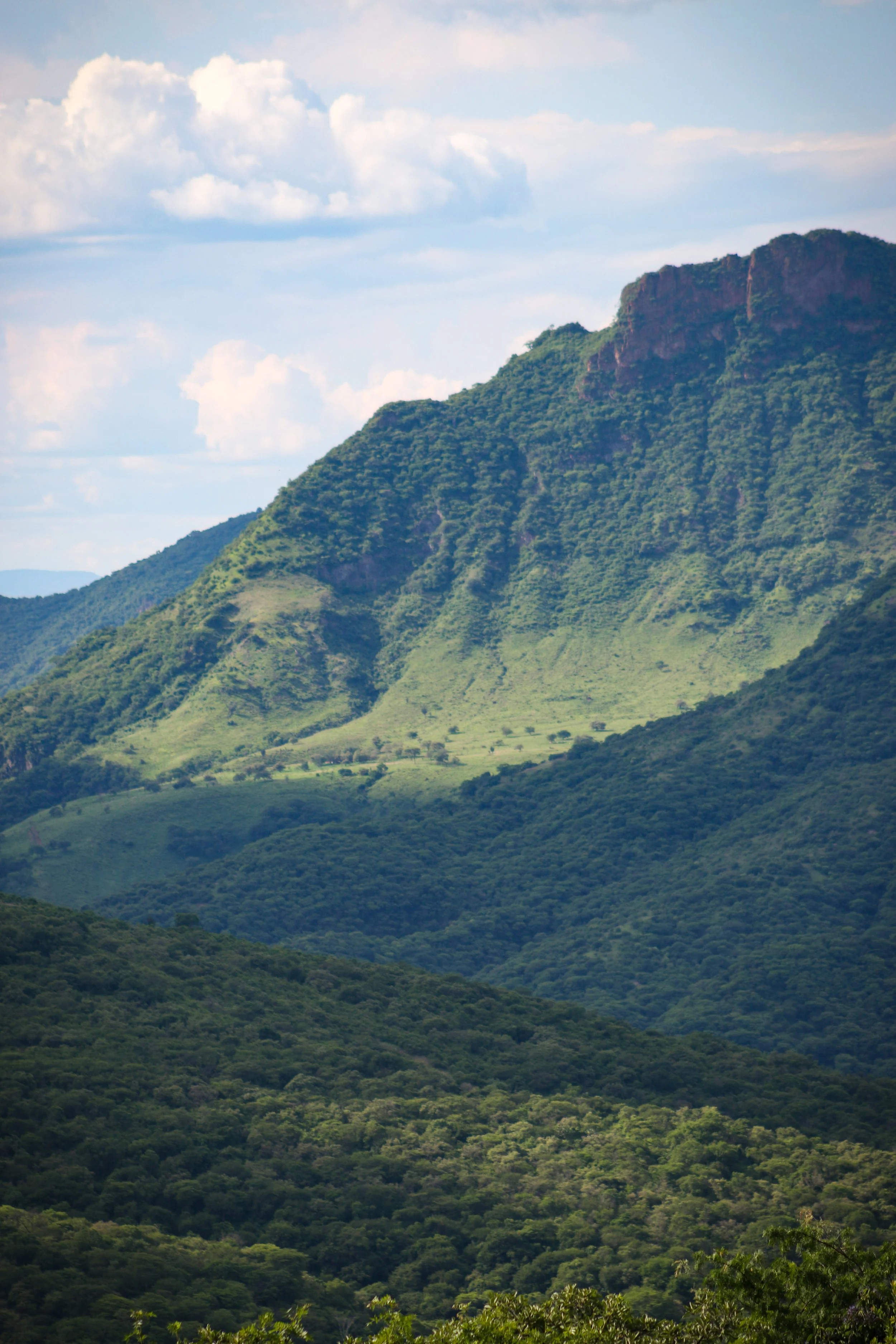 Montaña-23.jpg