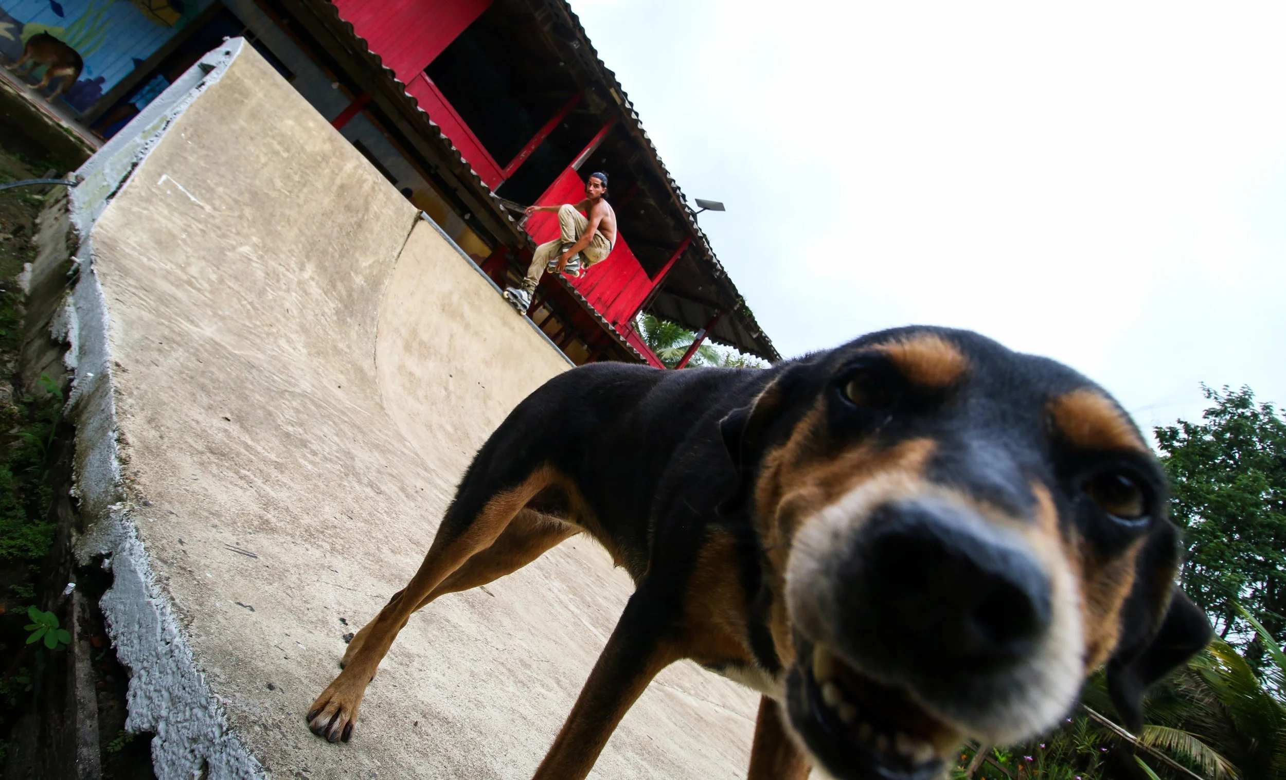 06_carballo_skate.jpg