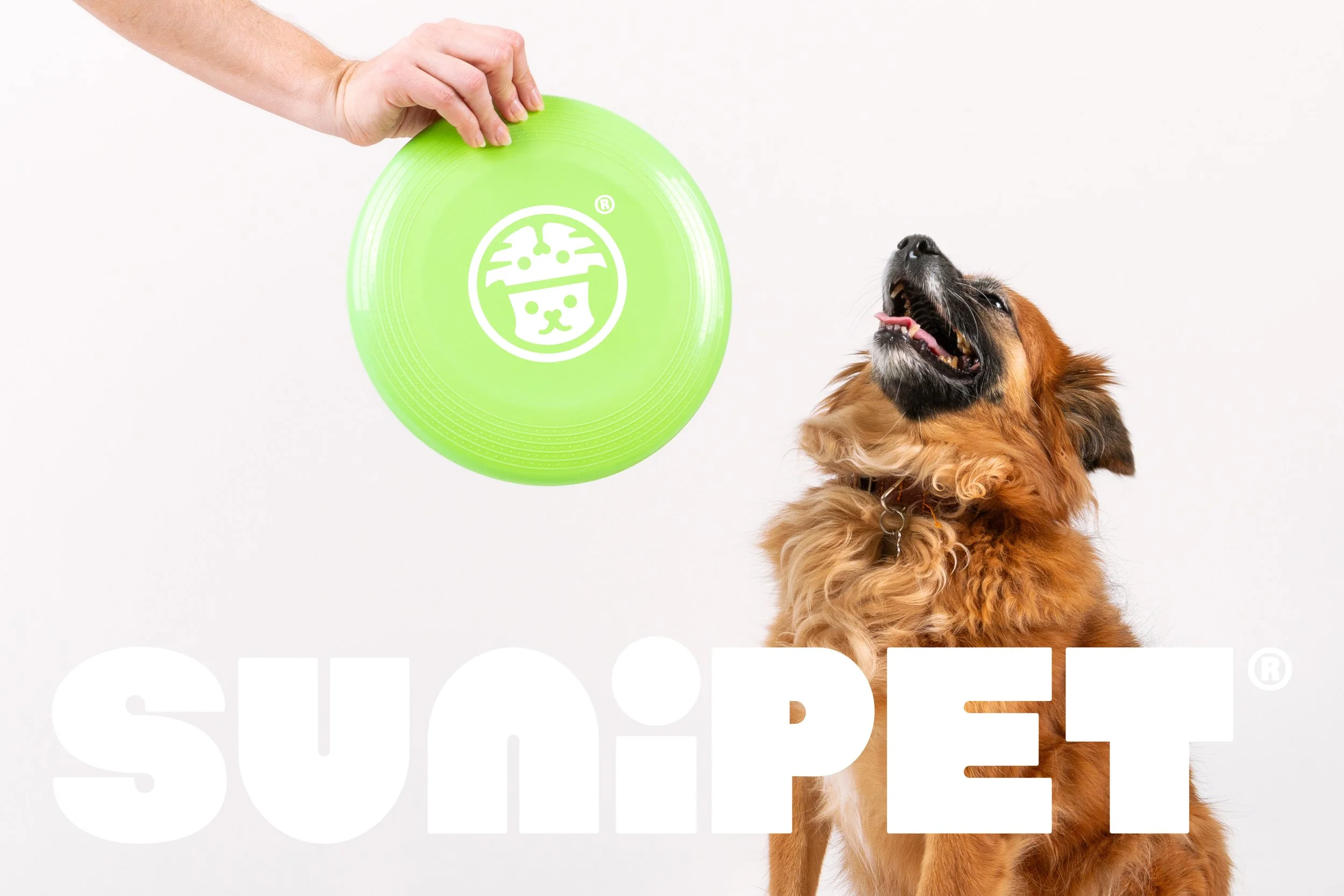 1-SUNIPET.jpg