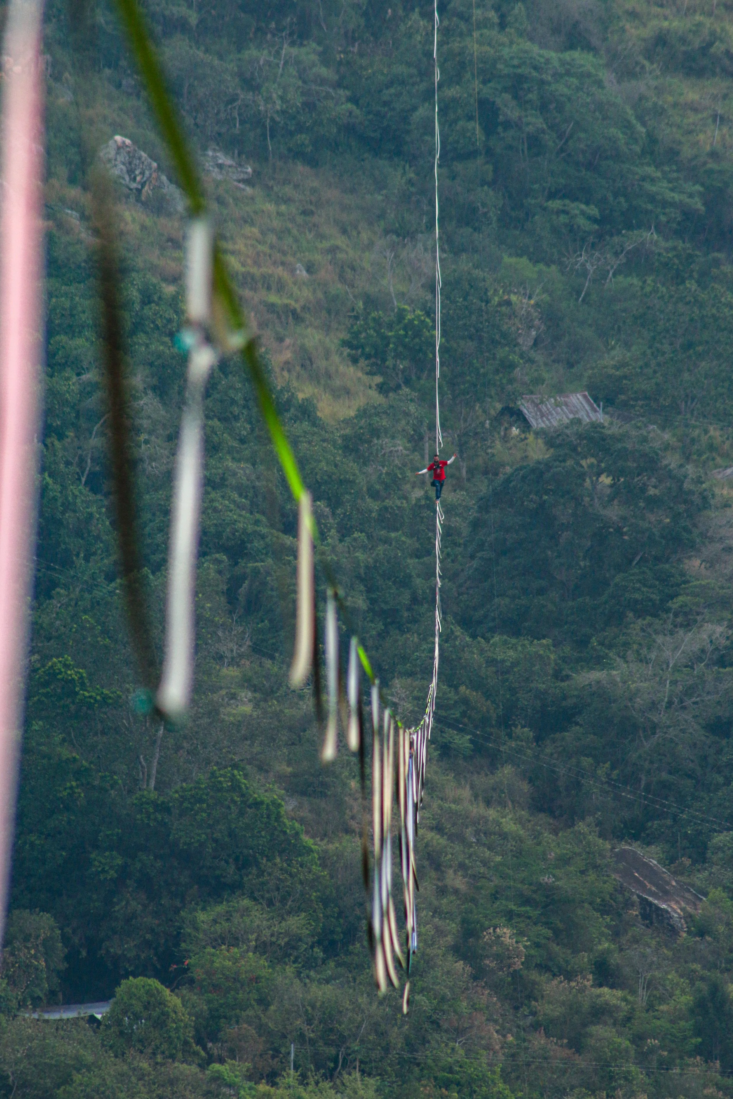 05_carballo_ highline.jpg
