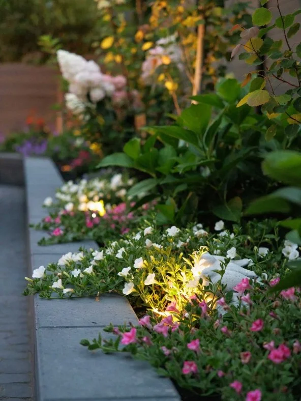 Close-up of colorful flowers planted in gray planters, with greenery in the background during sunset.