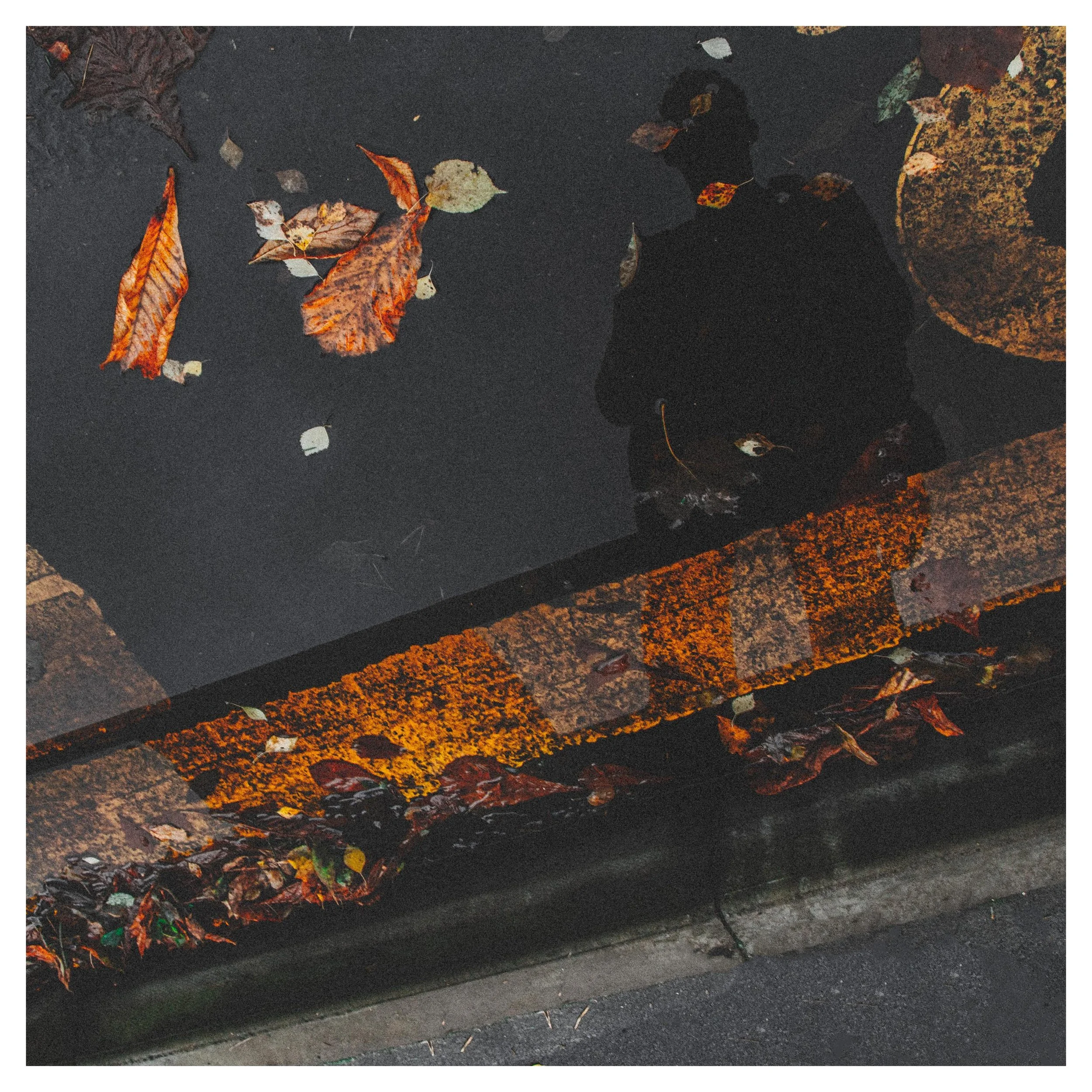 David Philliskirk 4.jpg