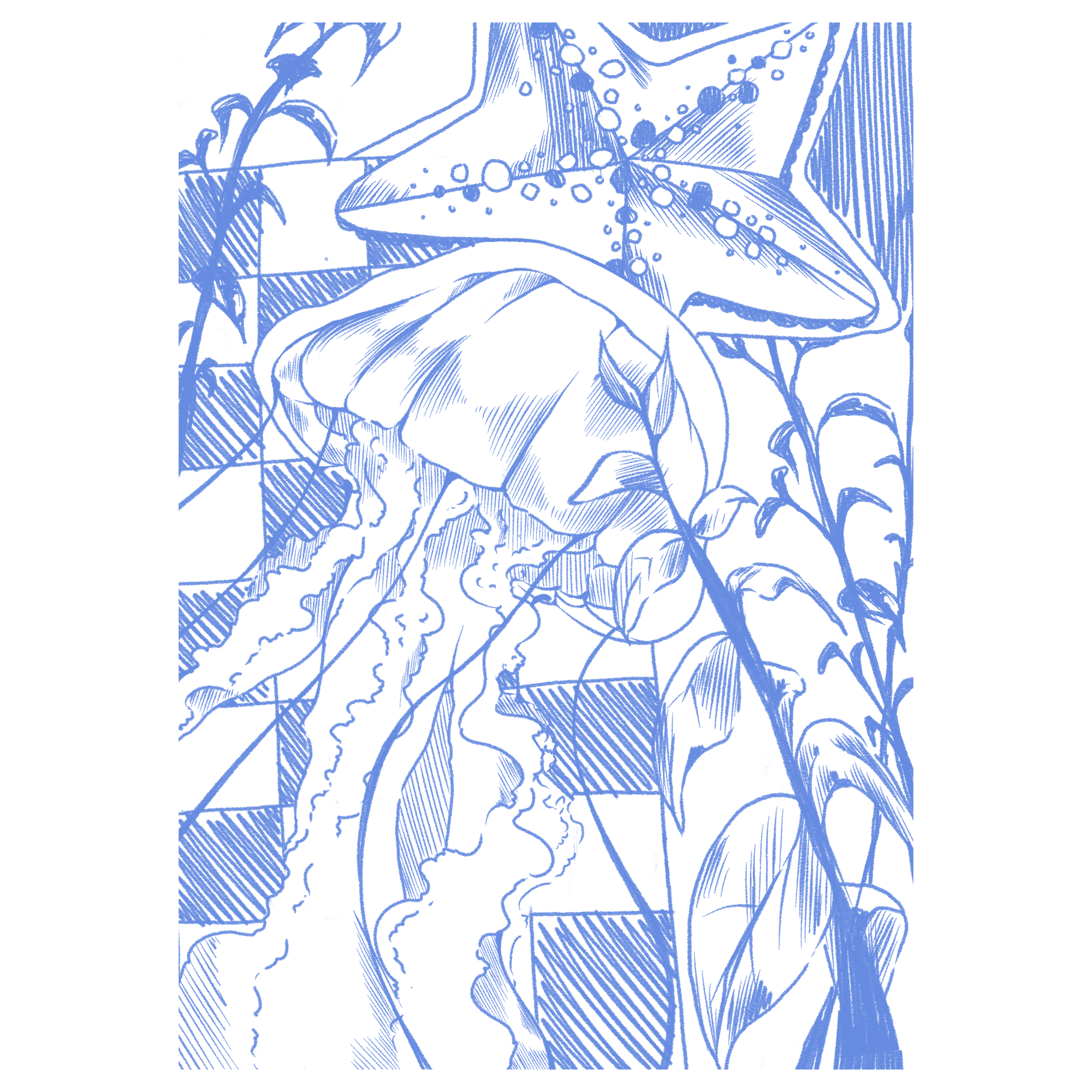 jellyfish2.png