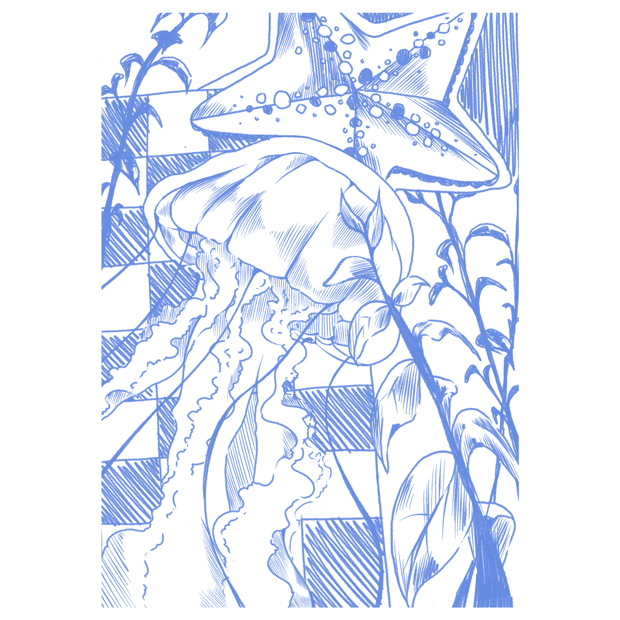 Jellyfish wonders