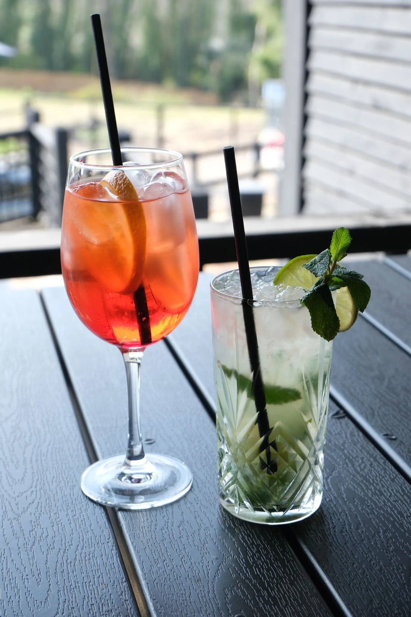 Two cocktails on a dark wooden table, one in a tall glass with a pinkish-orange drink and lemon slices, the other in a clear glass with a light green drink, lime slices, and mint leaves, with a blurred outdoor background.