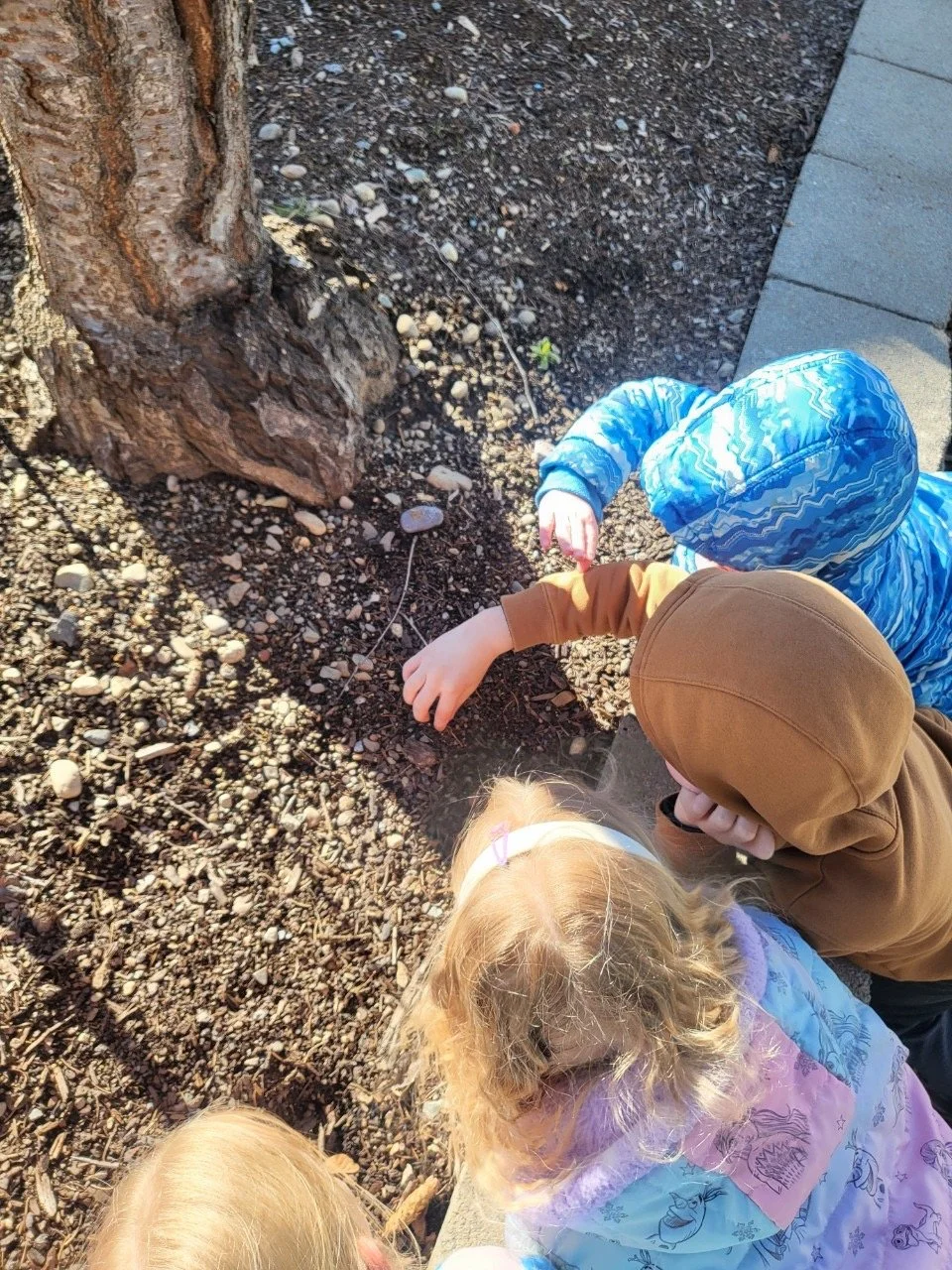 Pend Oreille Family Cooperative: A community led drop-off preschool. Four children in colorful jackets, with one in a brown hoodie, a blue patterned jacket, and light pink, gathered around planting something in the dirt near a tree on a sunny day.