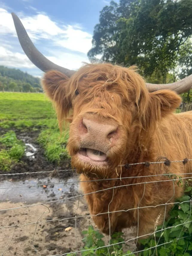 HIGHLANDS